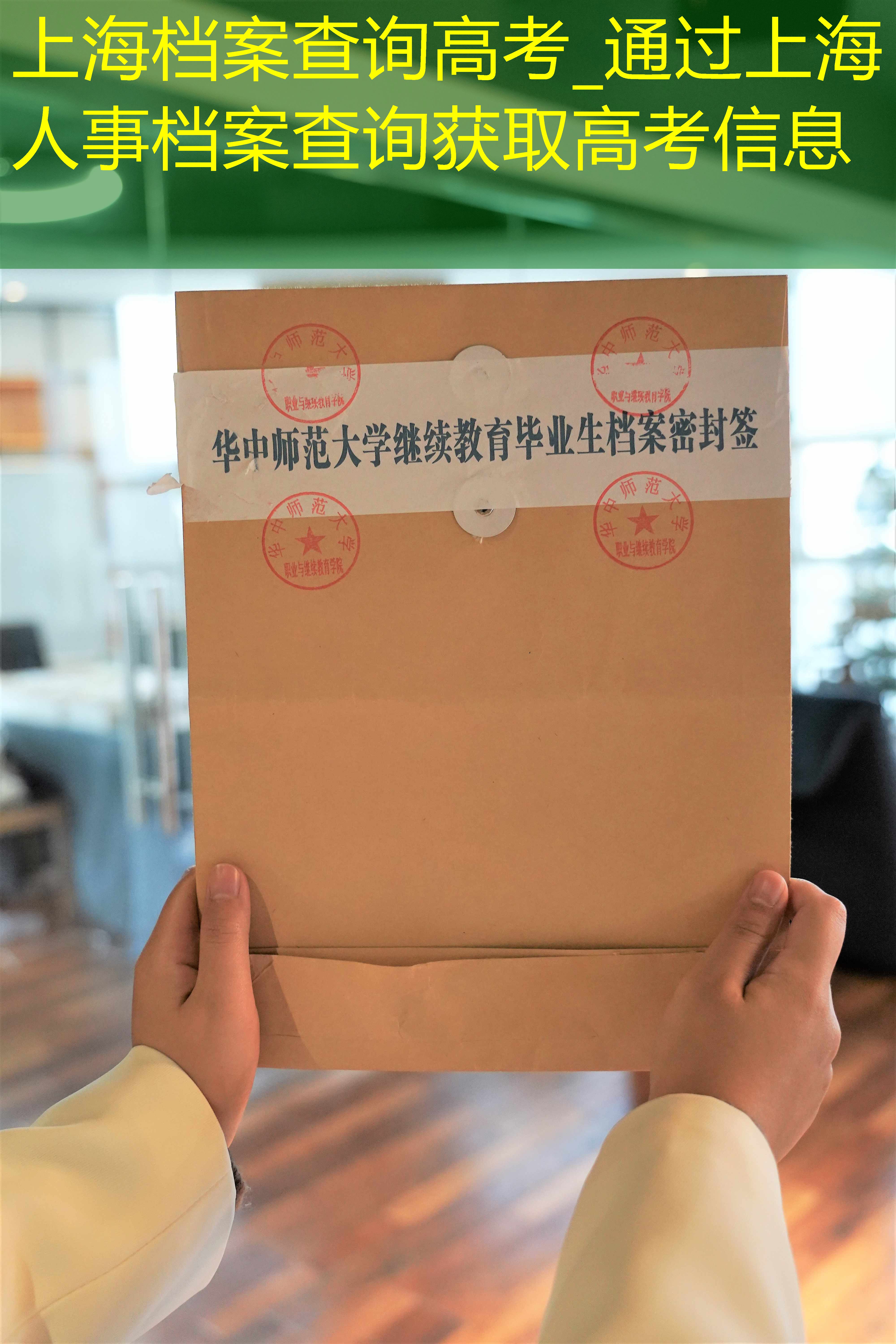 档案查询