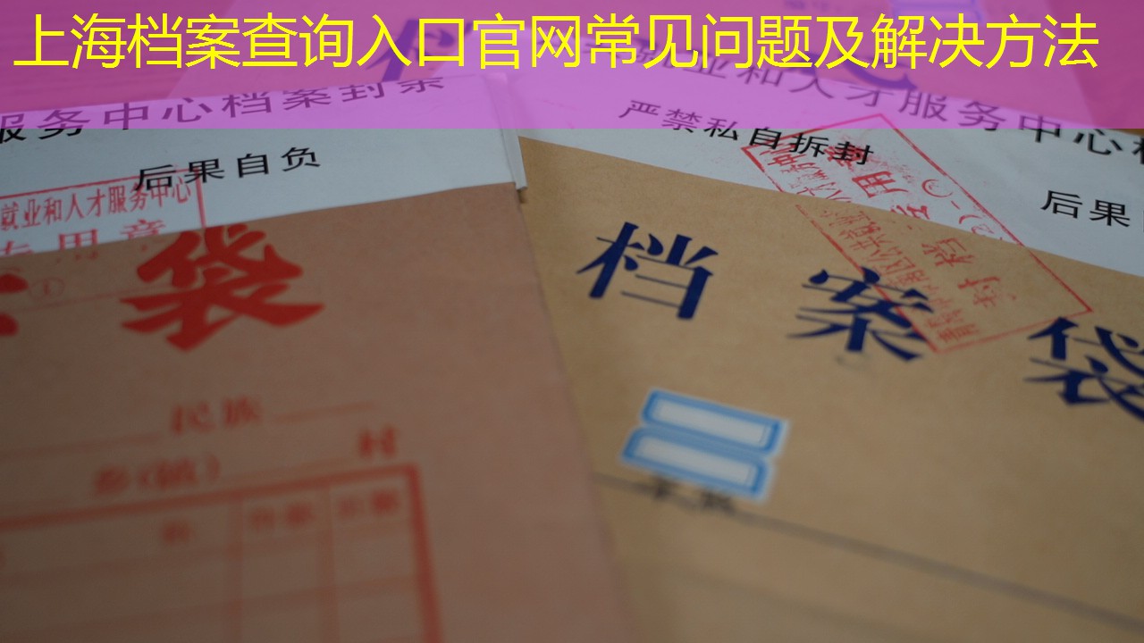 档案查询
