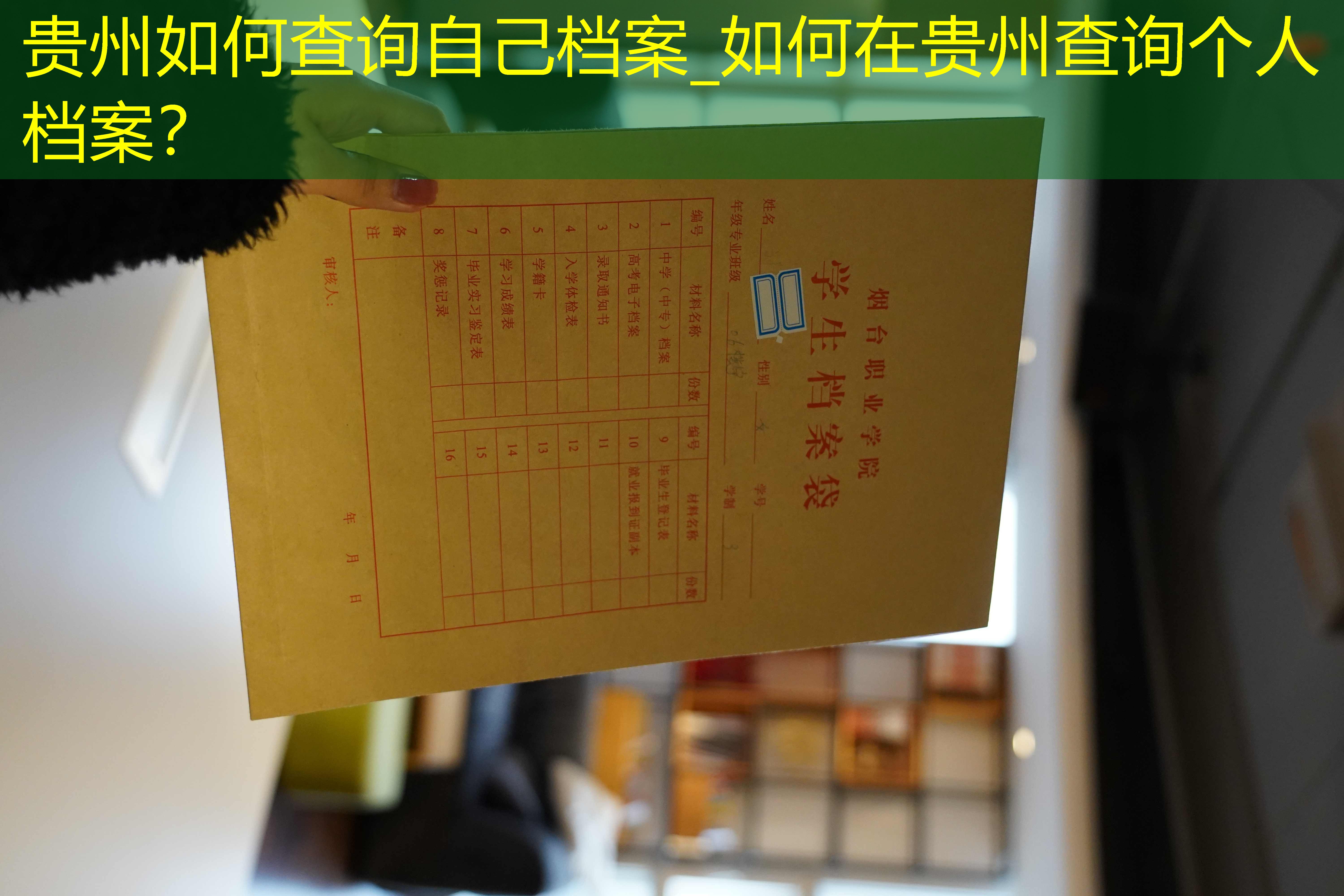 档案查询