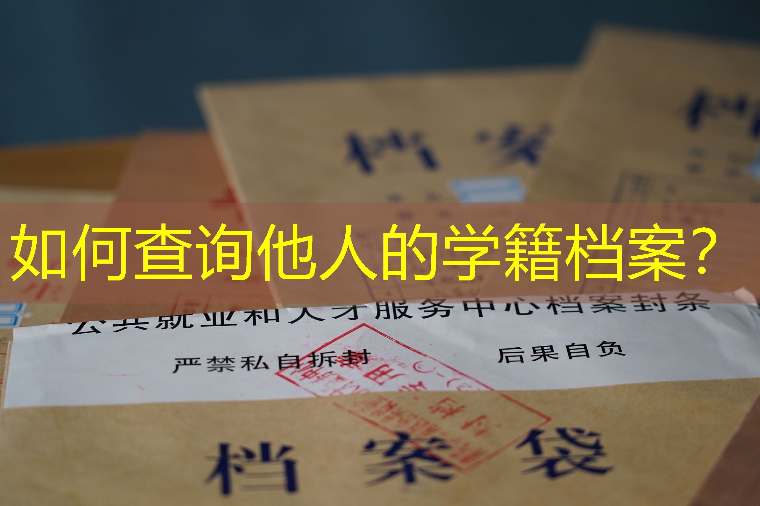 档案查询