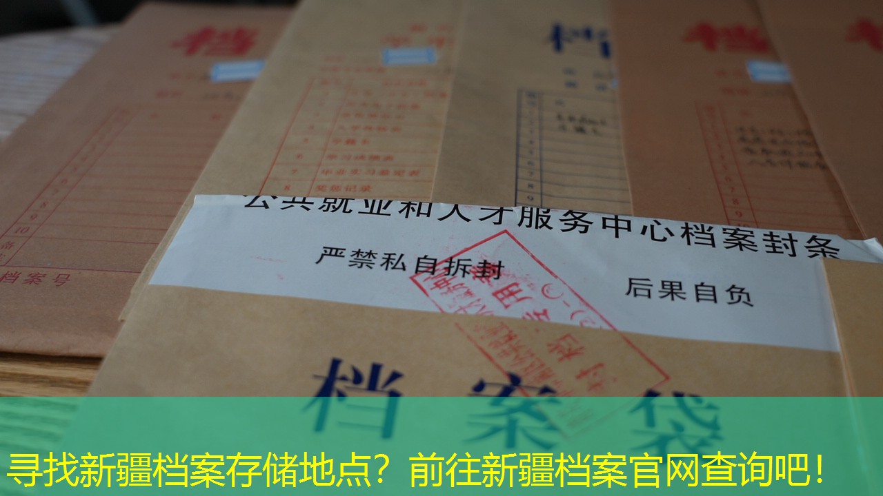 档案查询