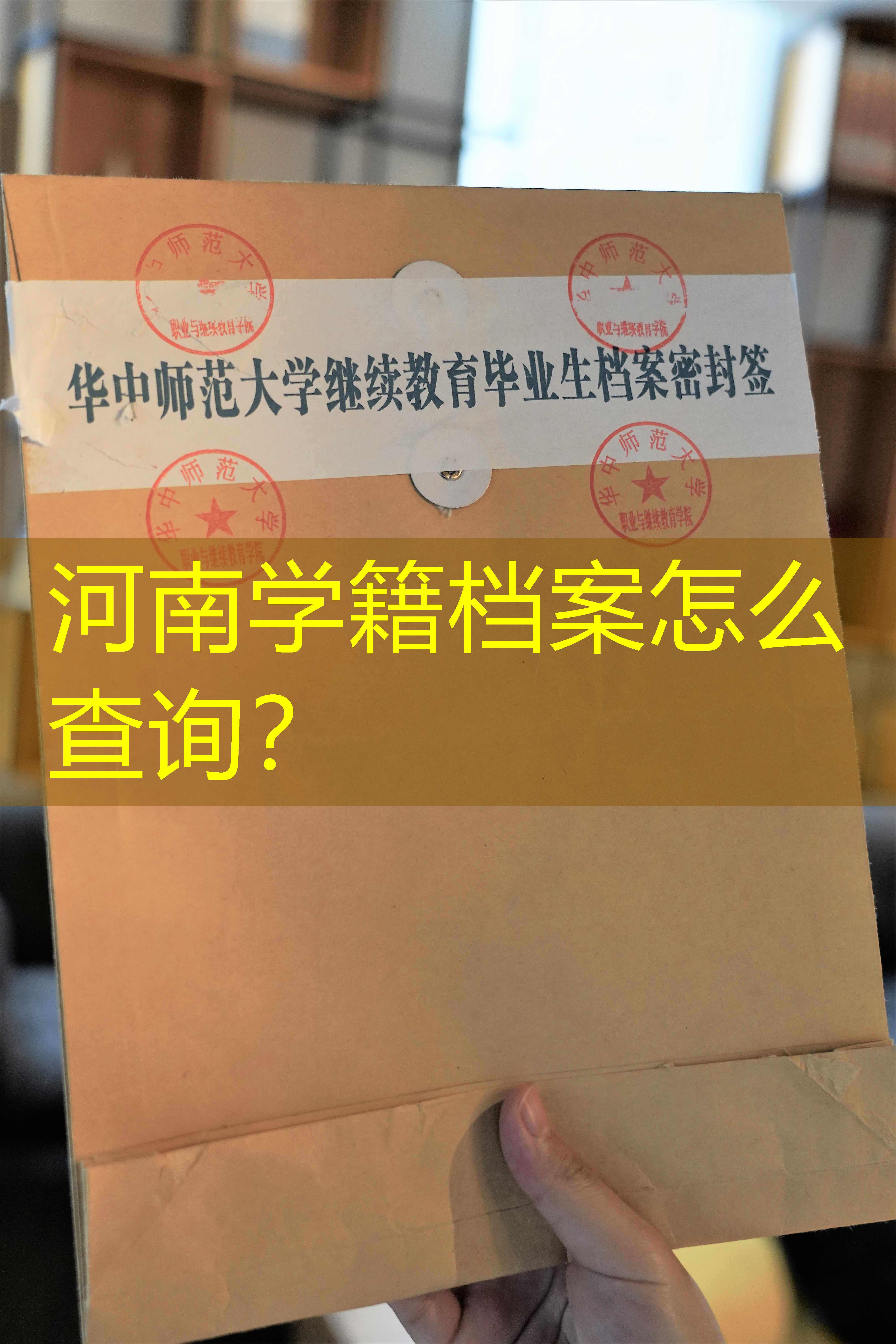 档案查询