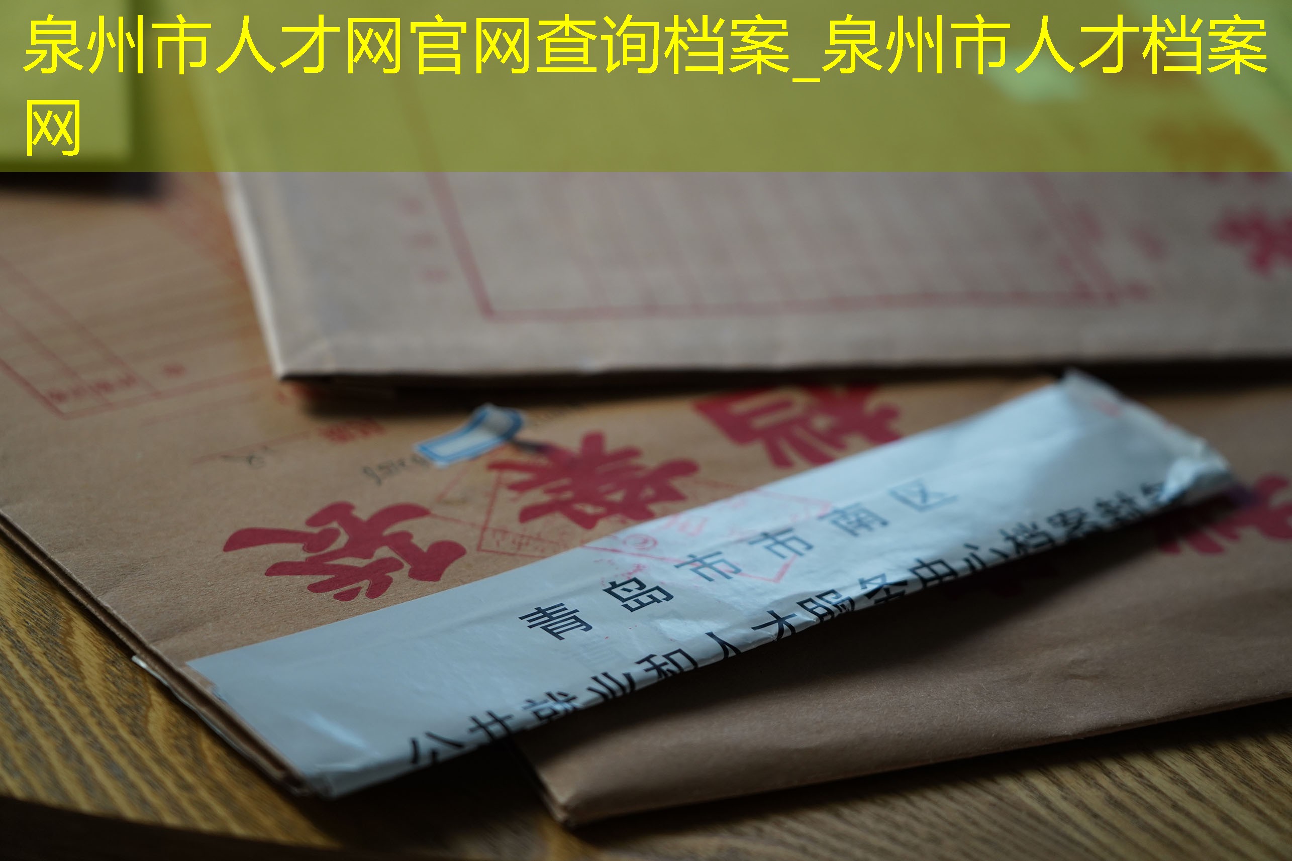 档案查询