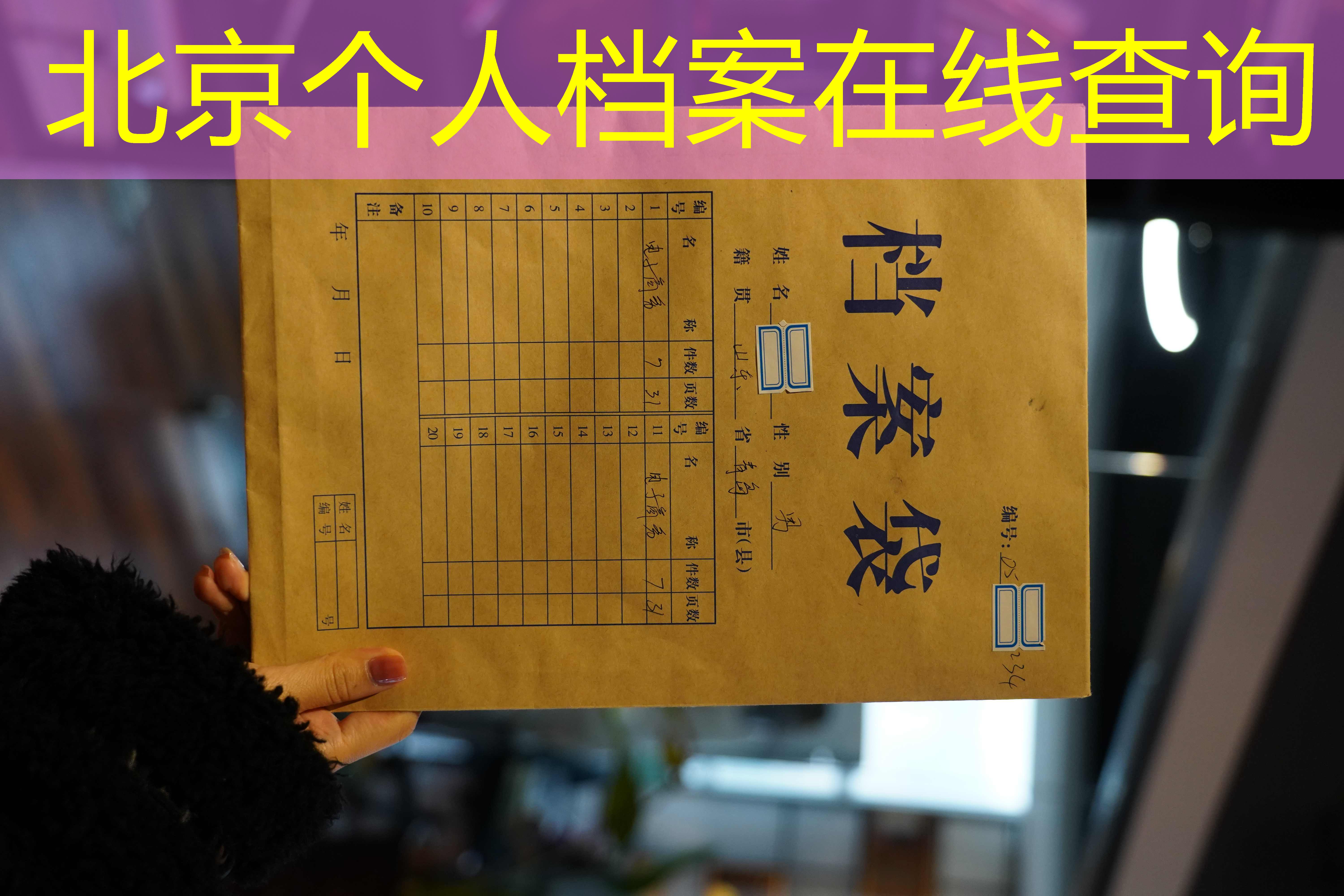 档案查询