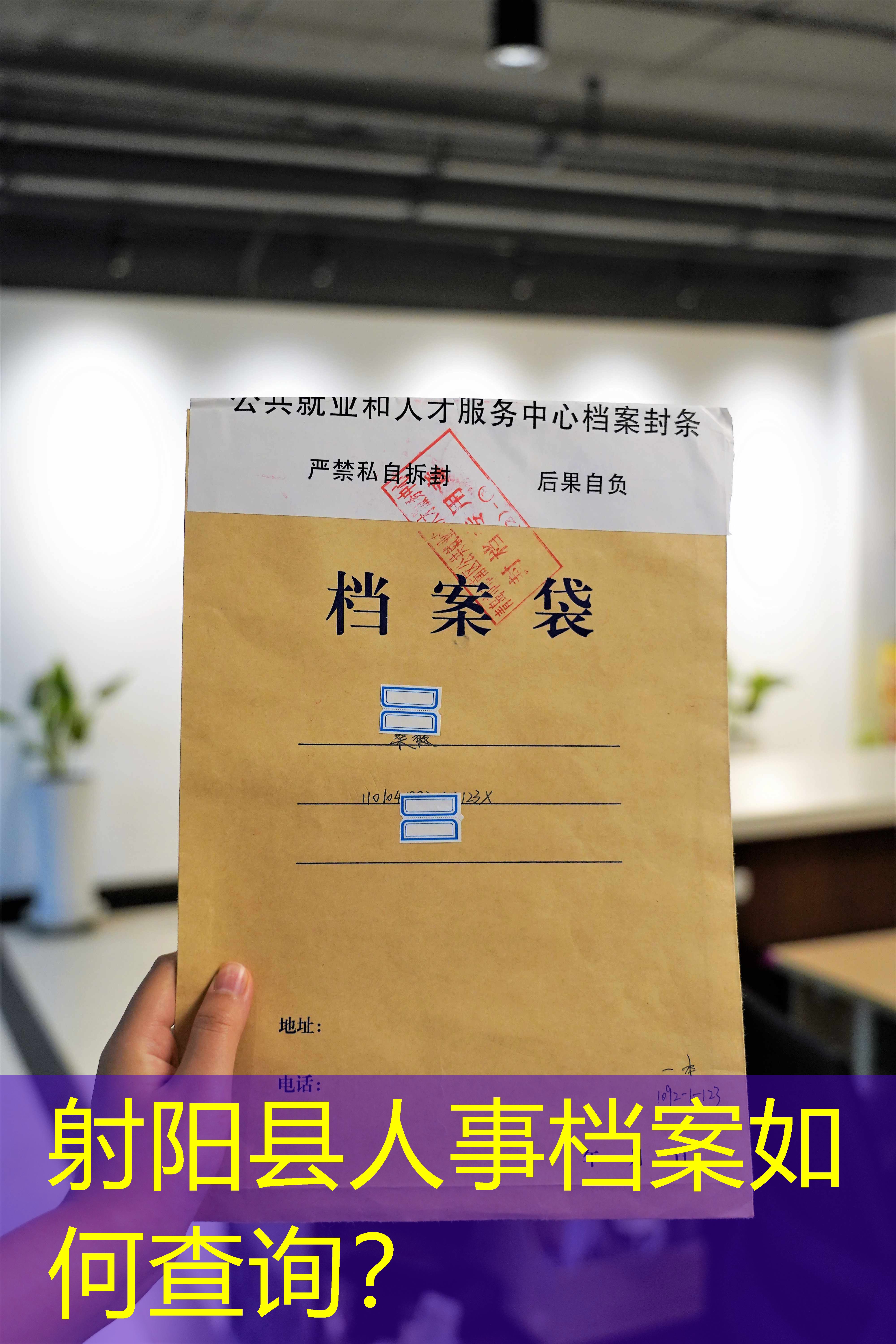 档案查询