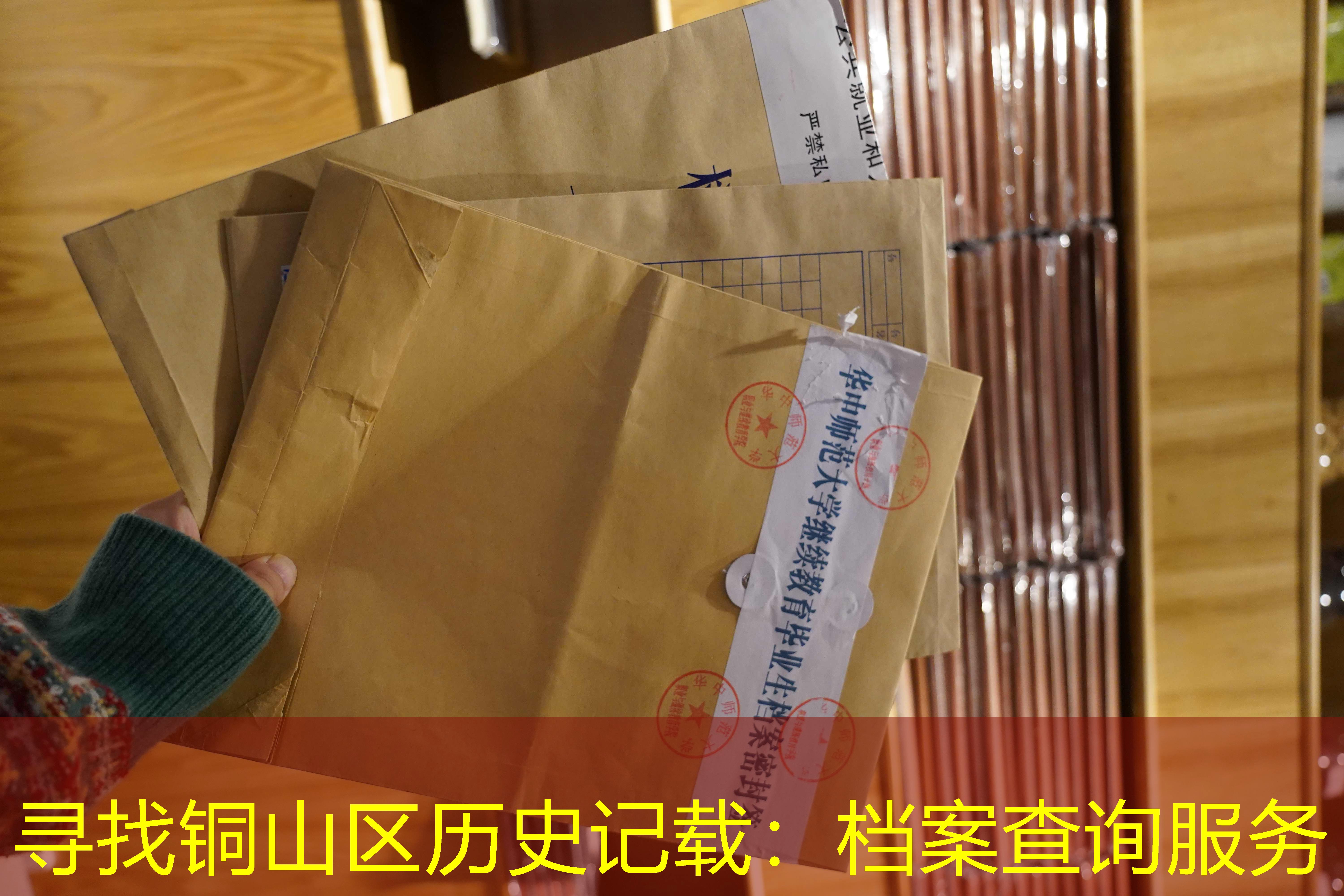 档案查询