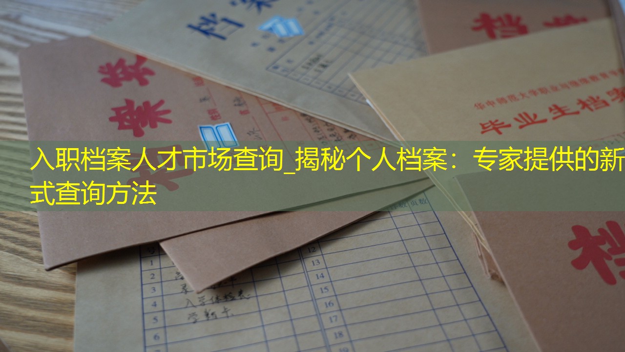 档案查询