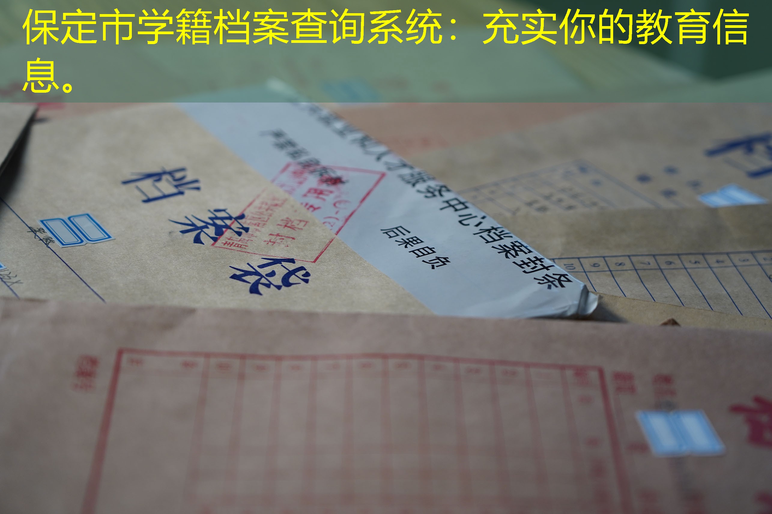 档案查询