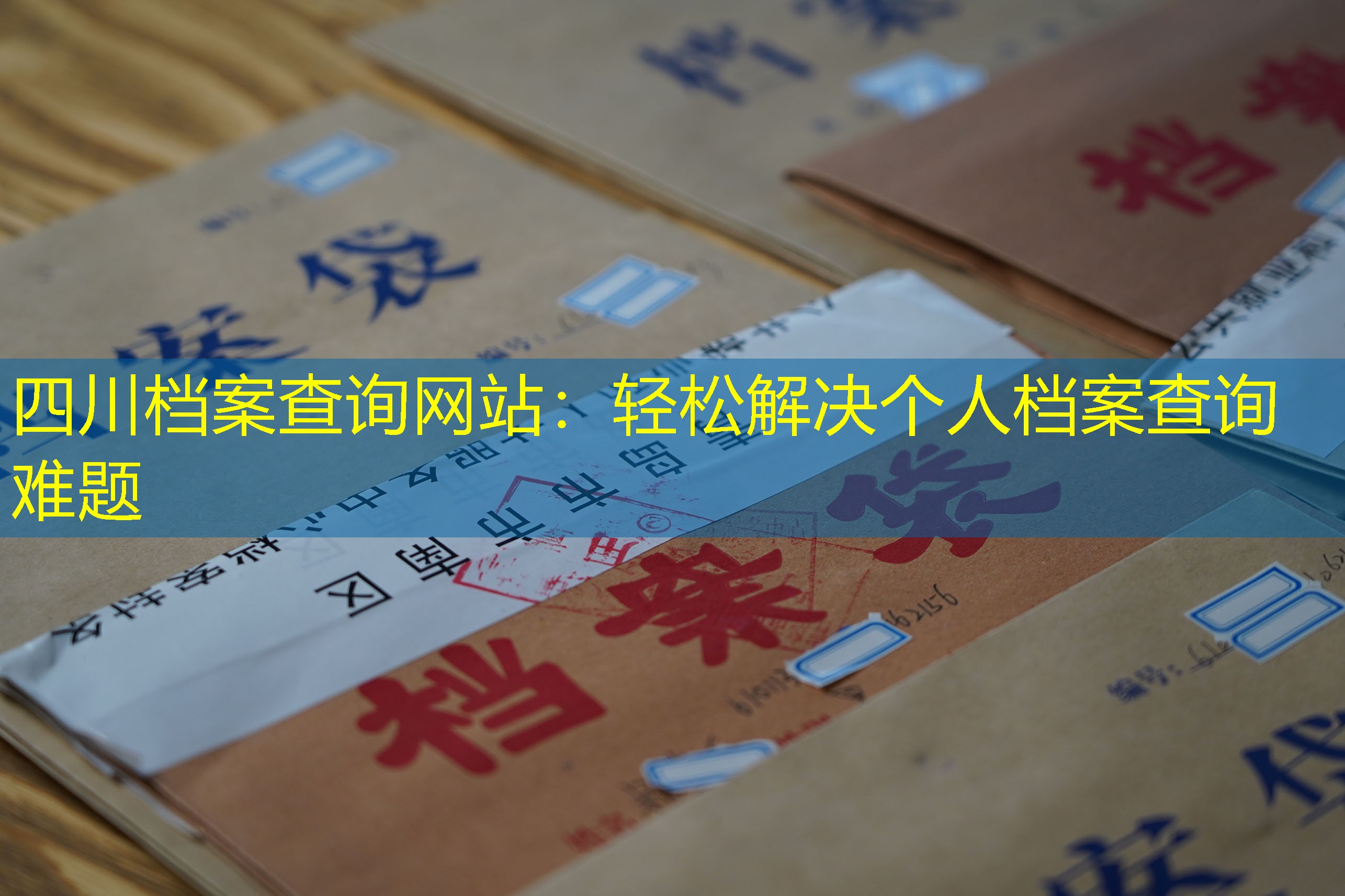档案查询