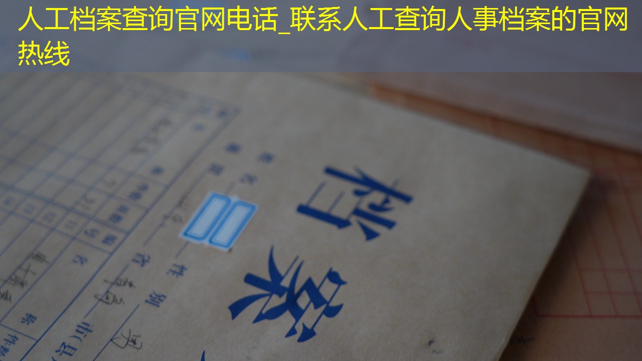 档案查询