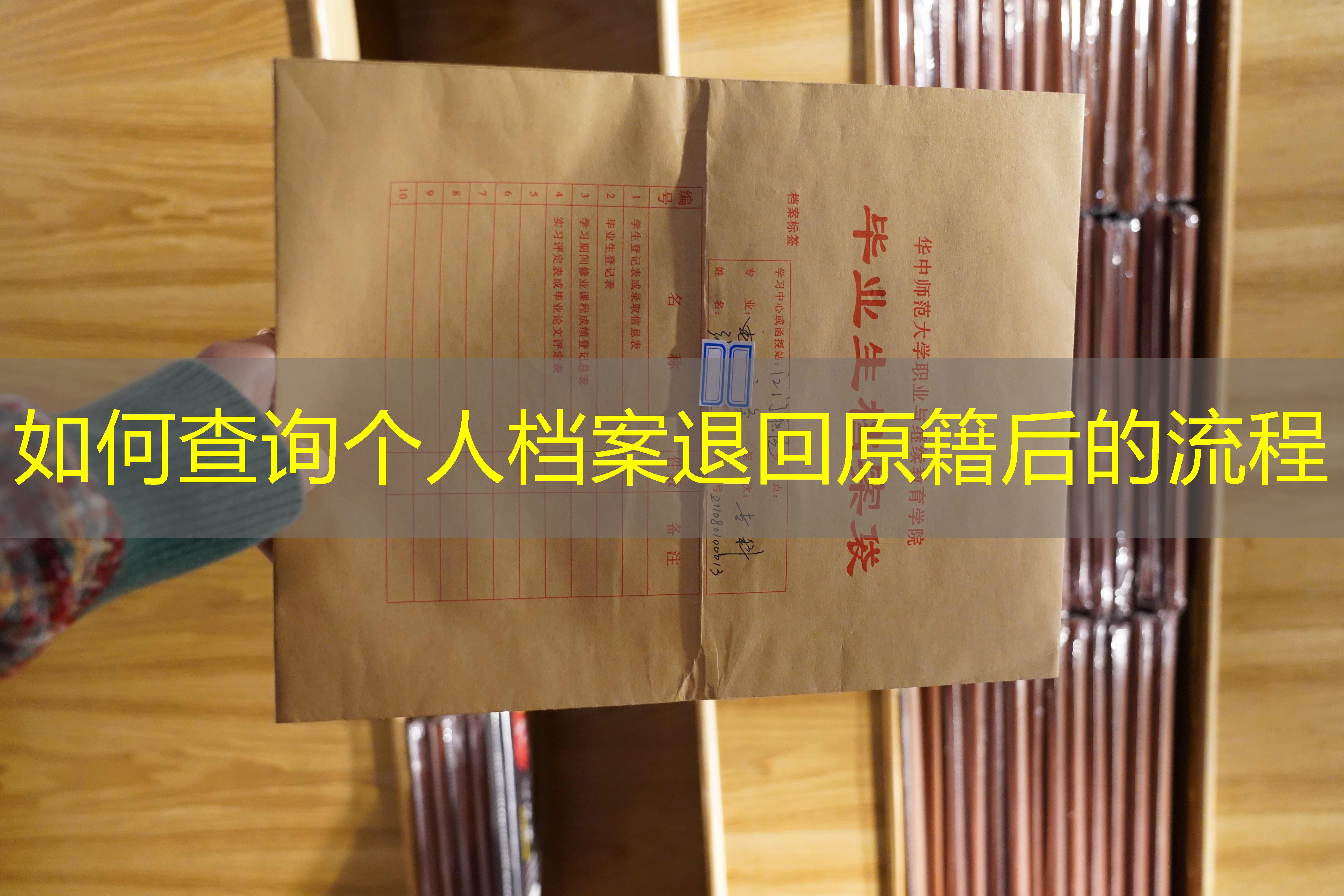 档案查询