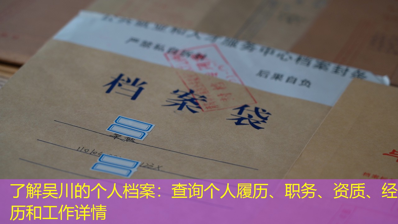 档案查询