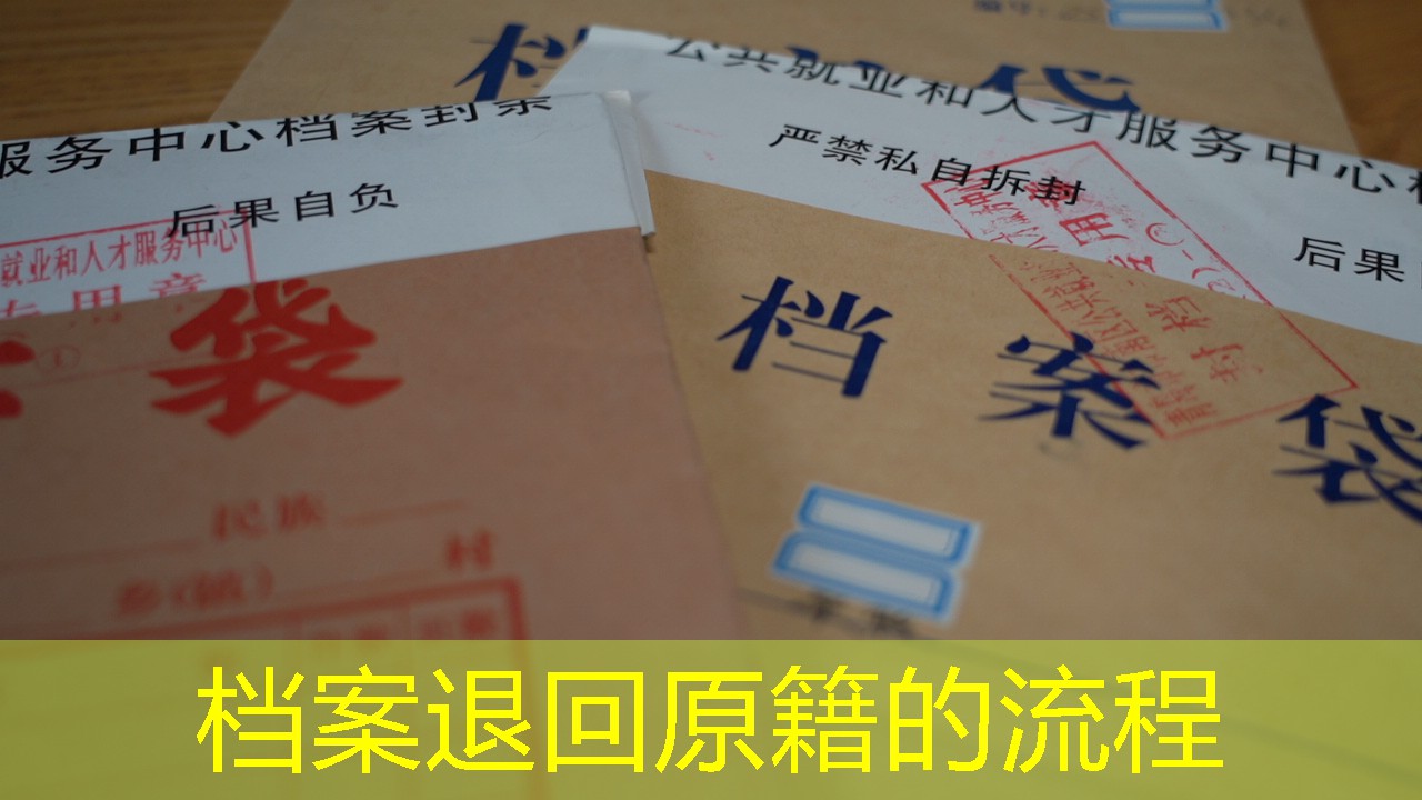 档案查询