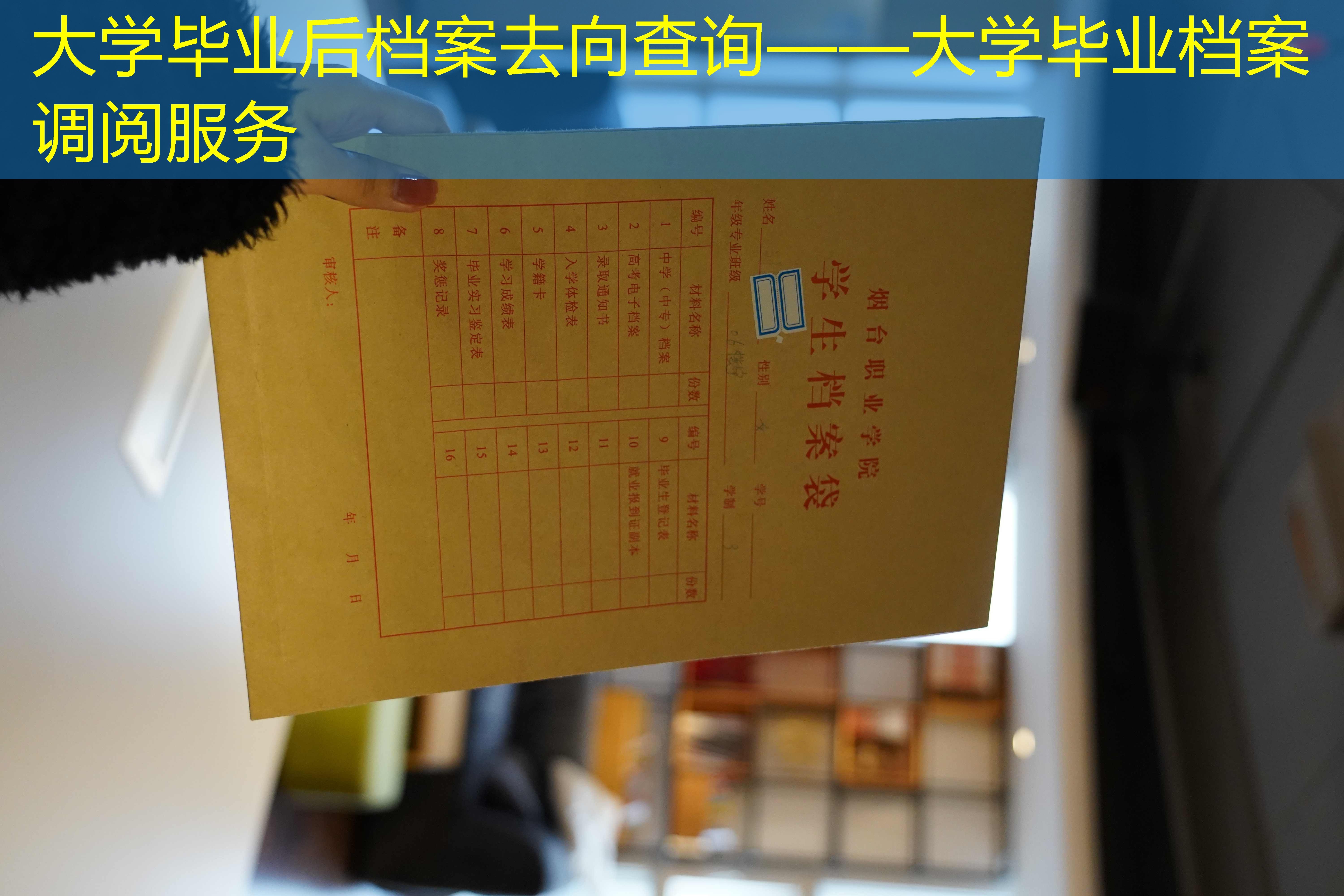 档案查询