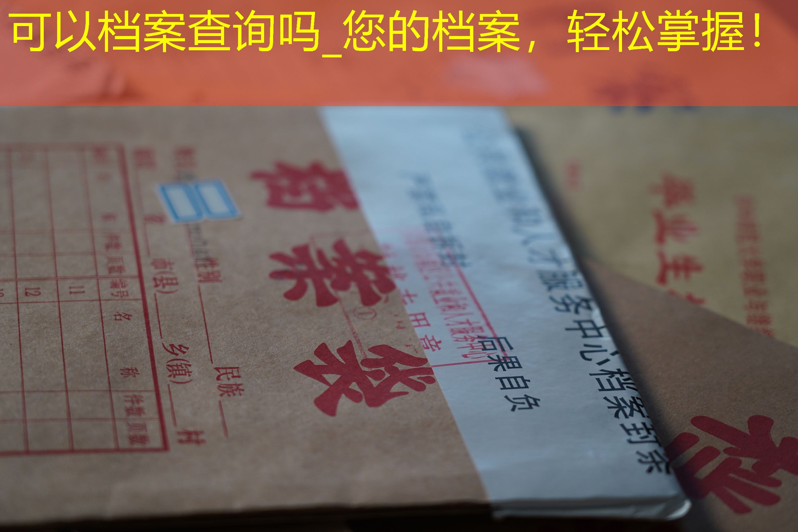 档案查询