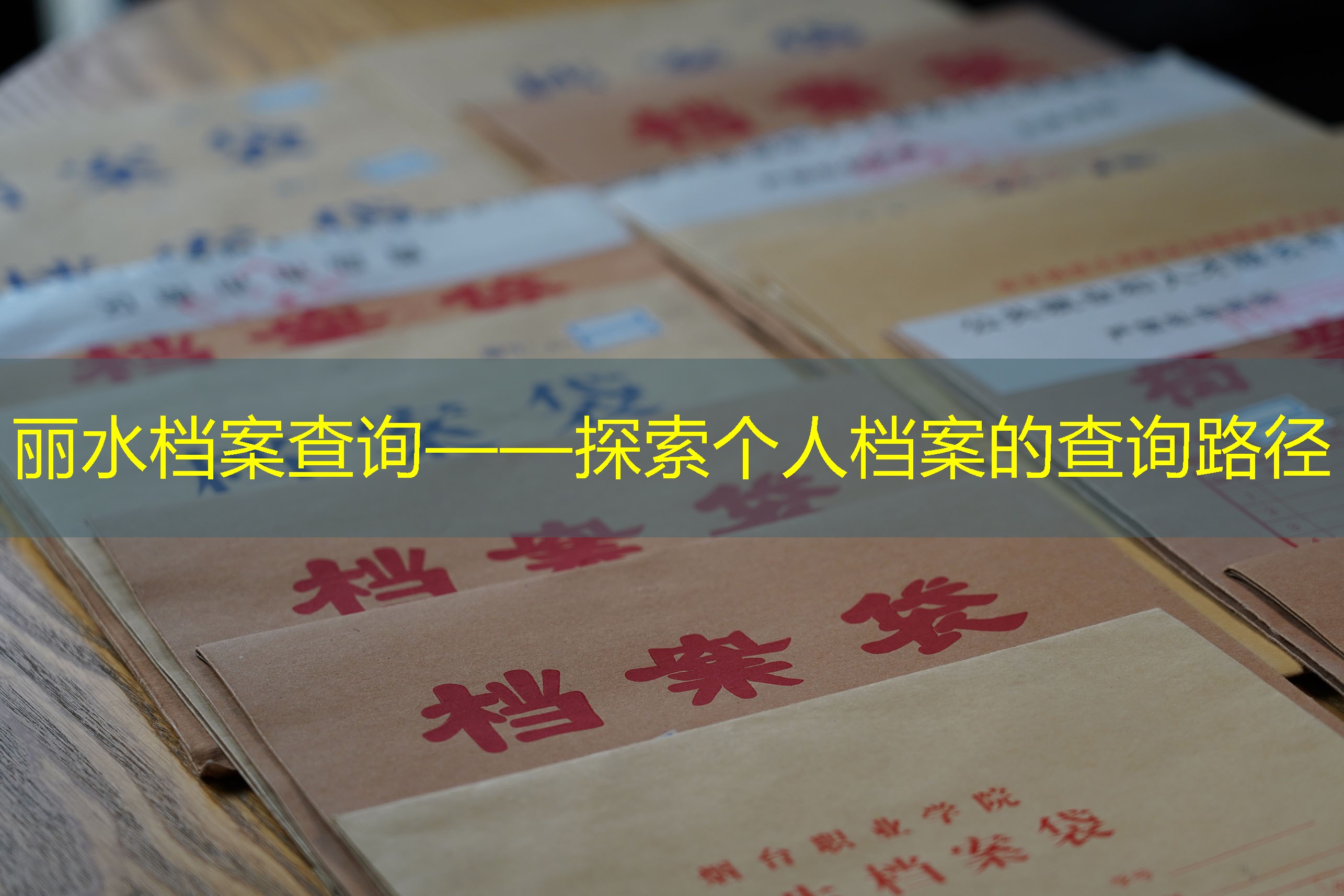 档案查询