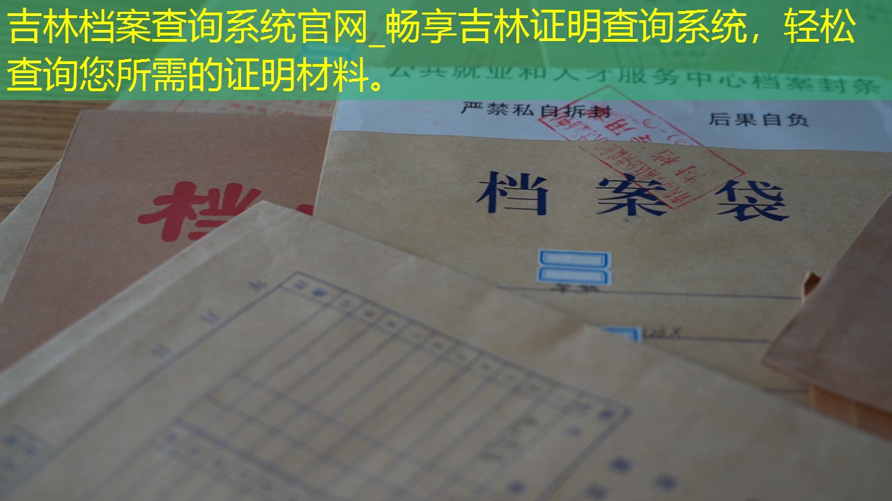档案查询