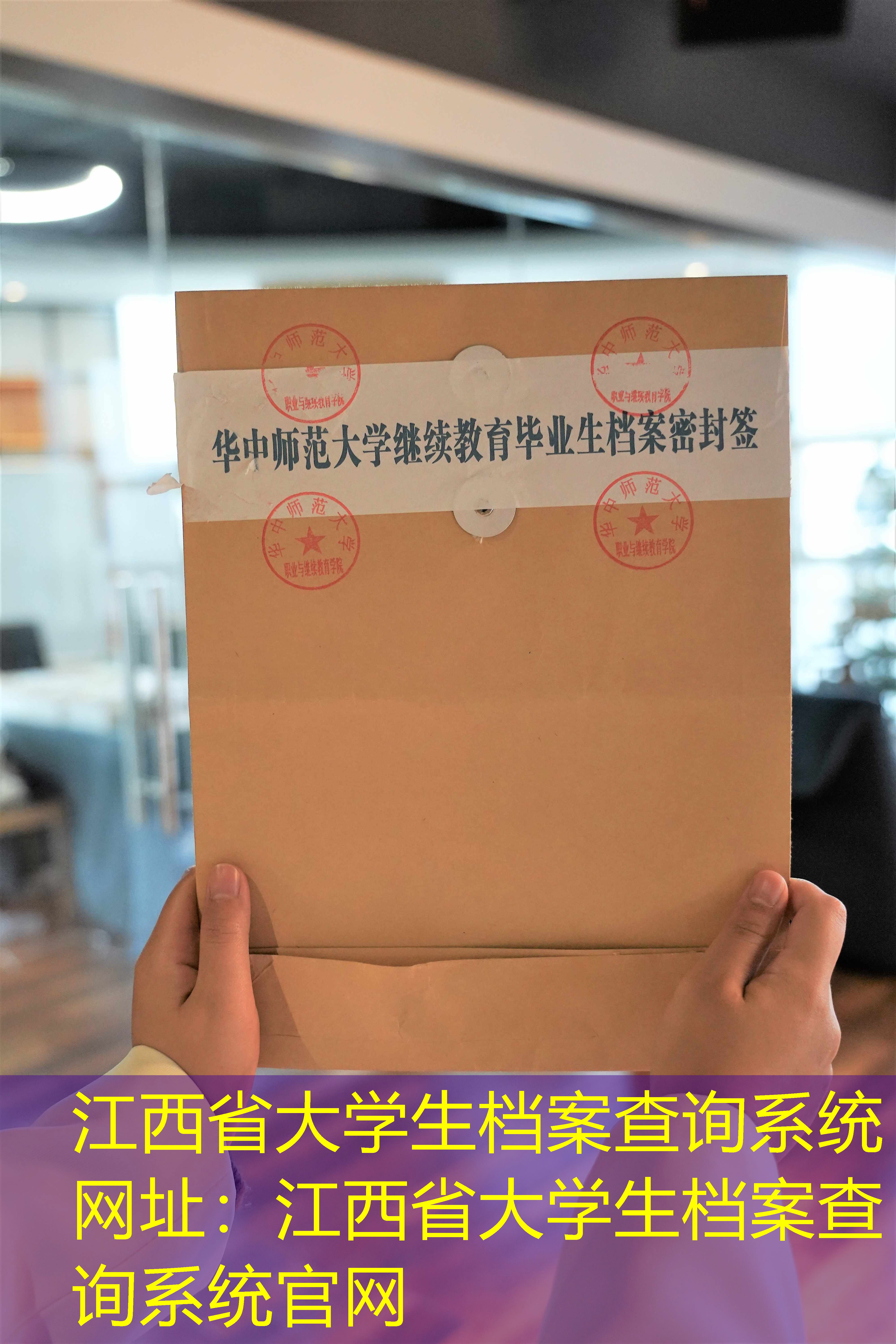 档案查询