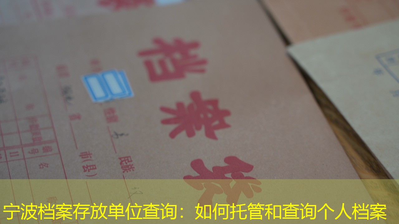 档案查询