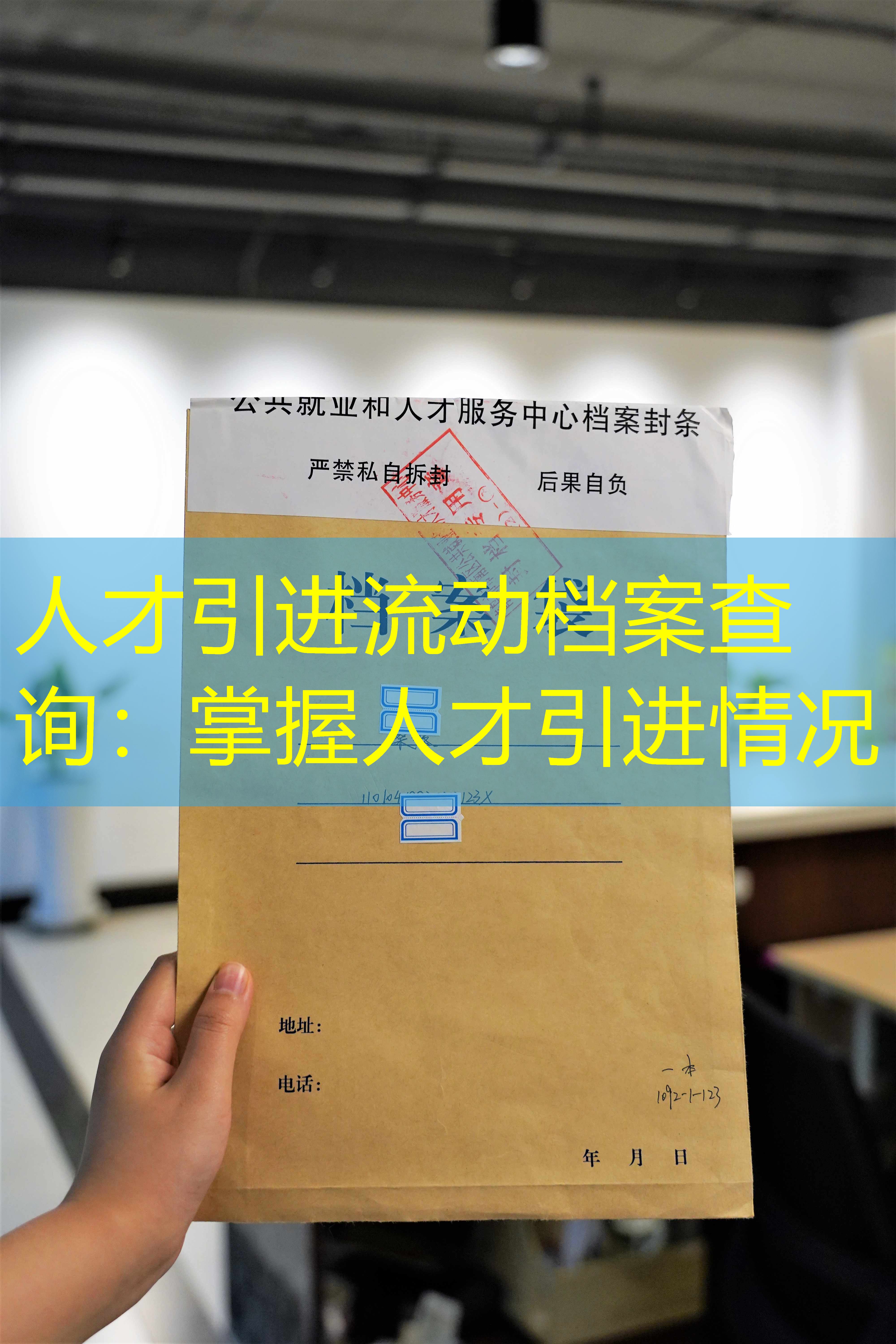 档案查询