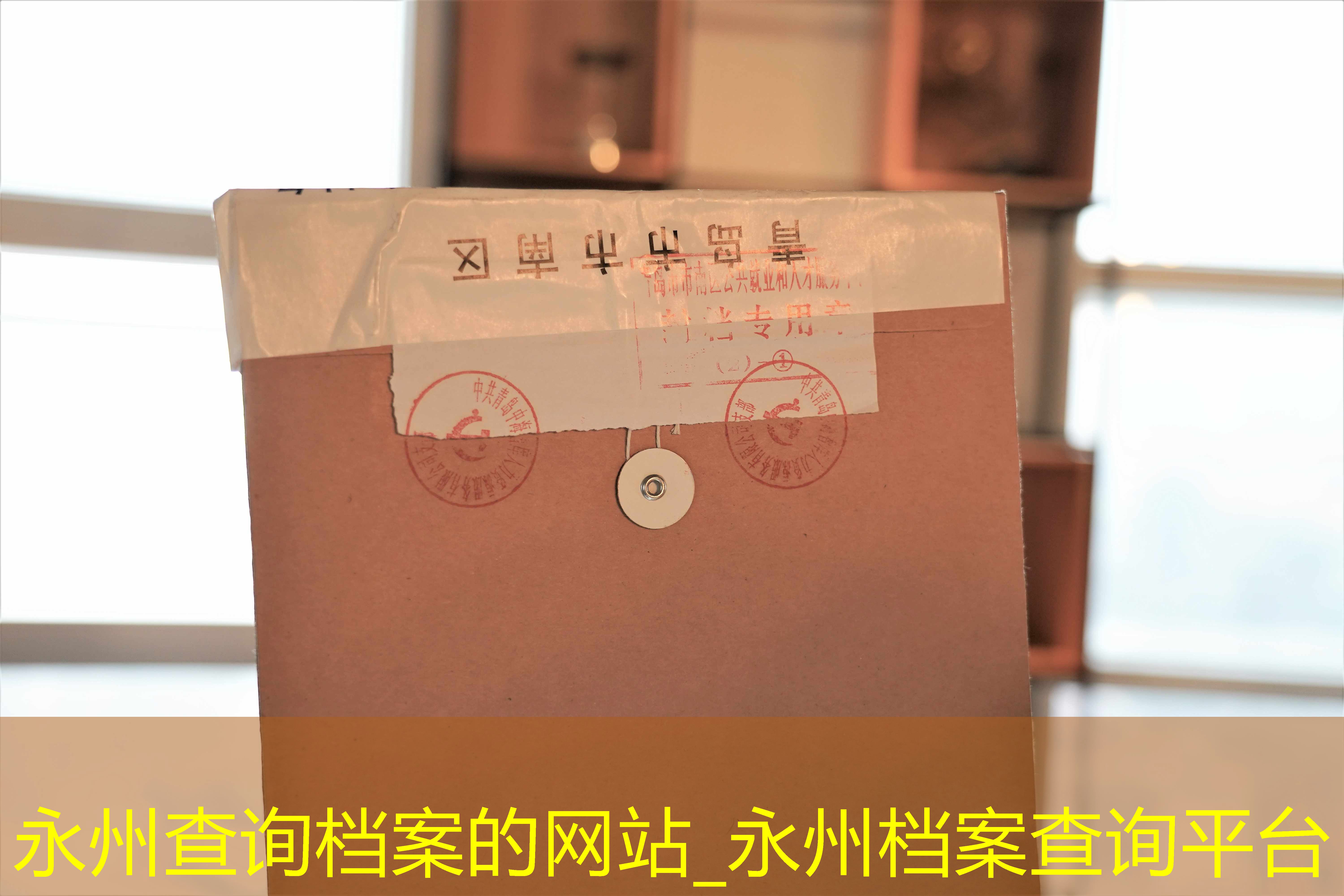 档案查询