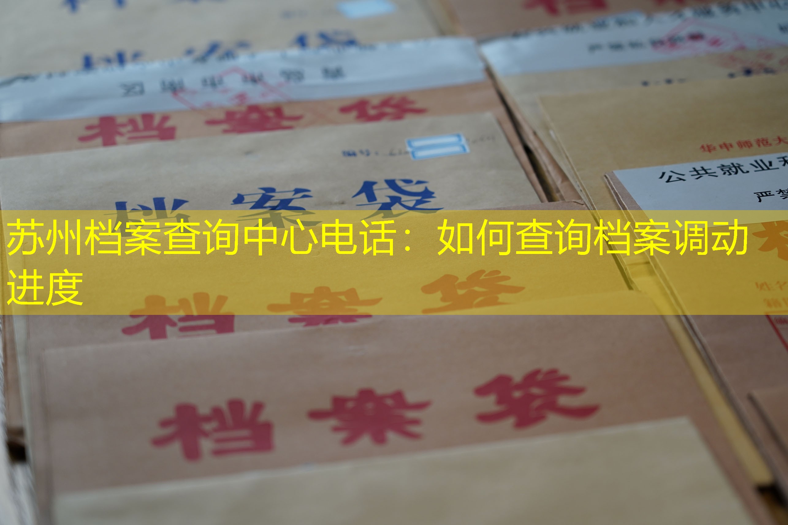 档案查询