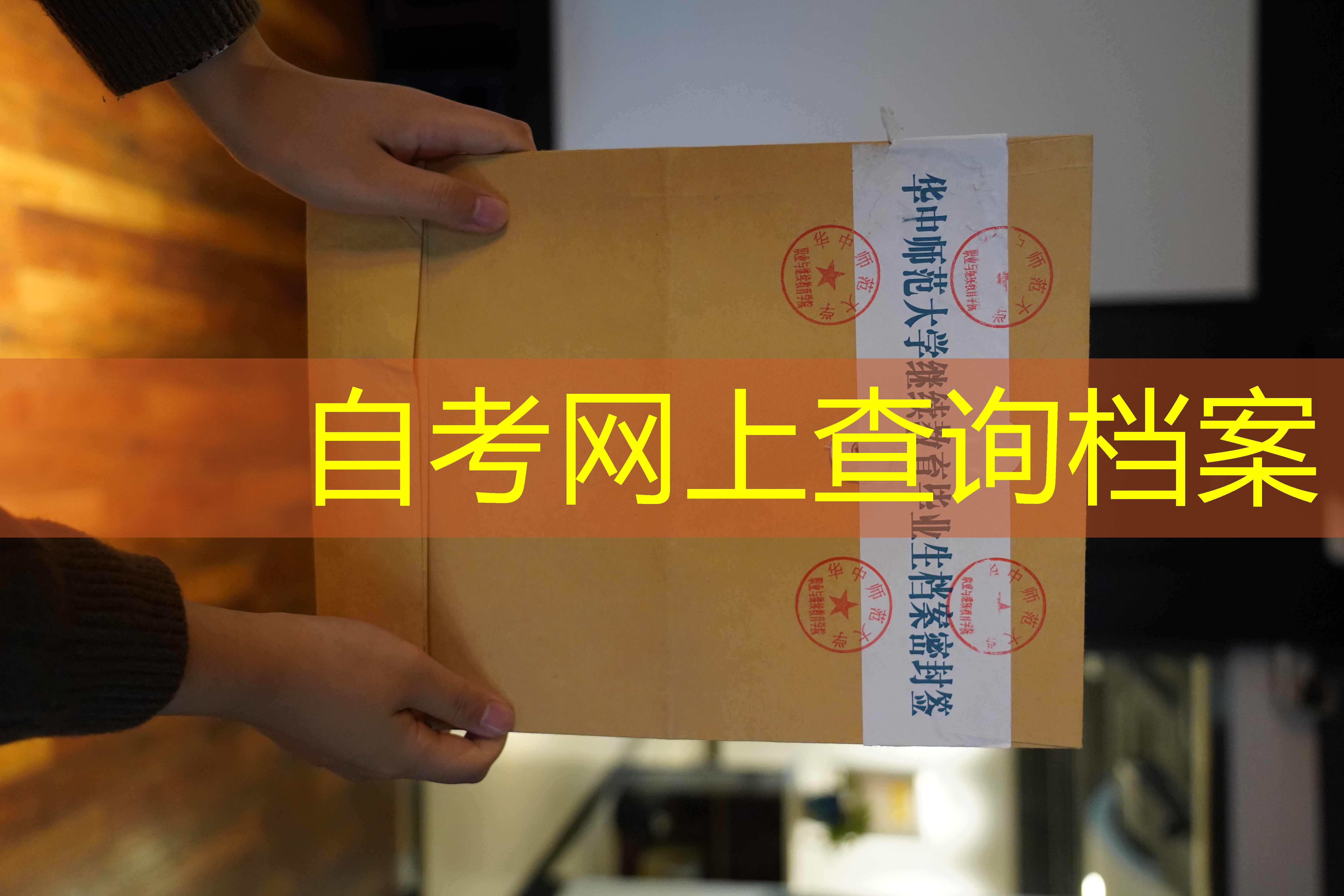 档案查询