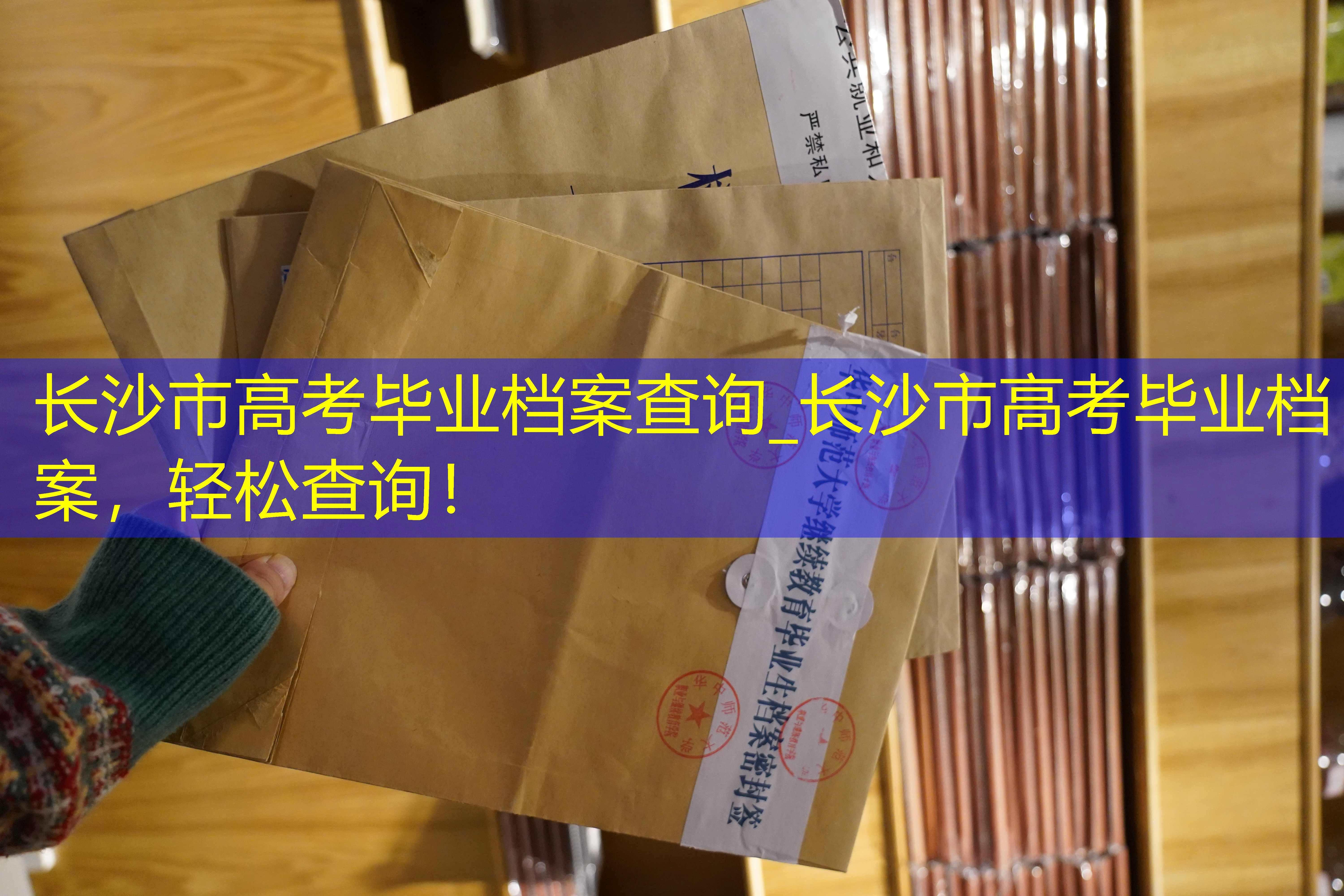 档案查询