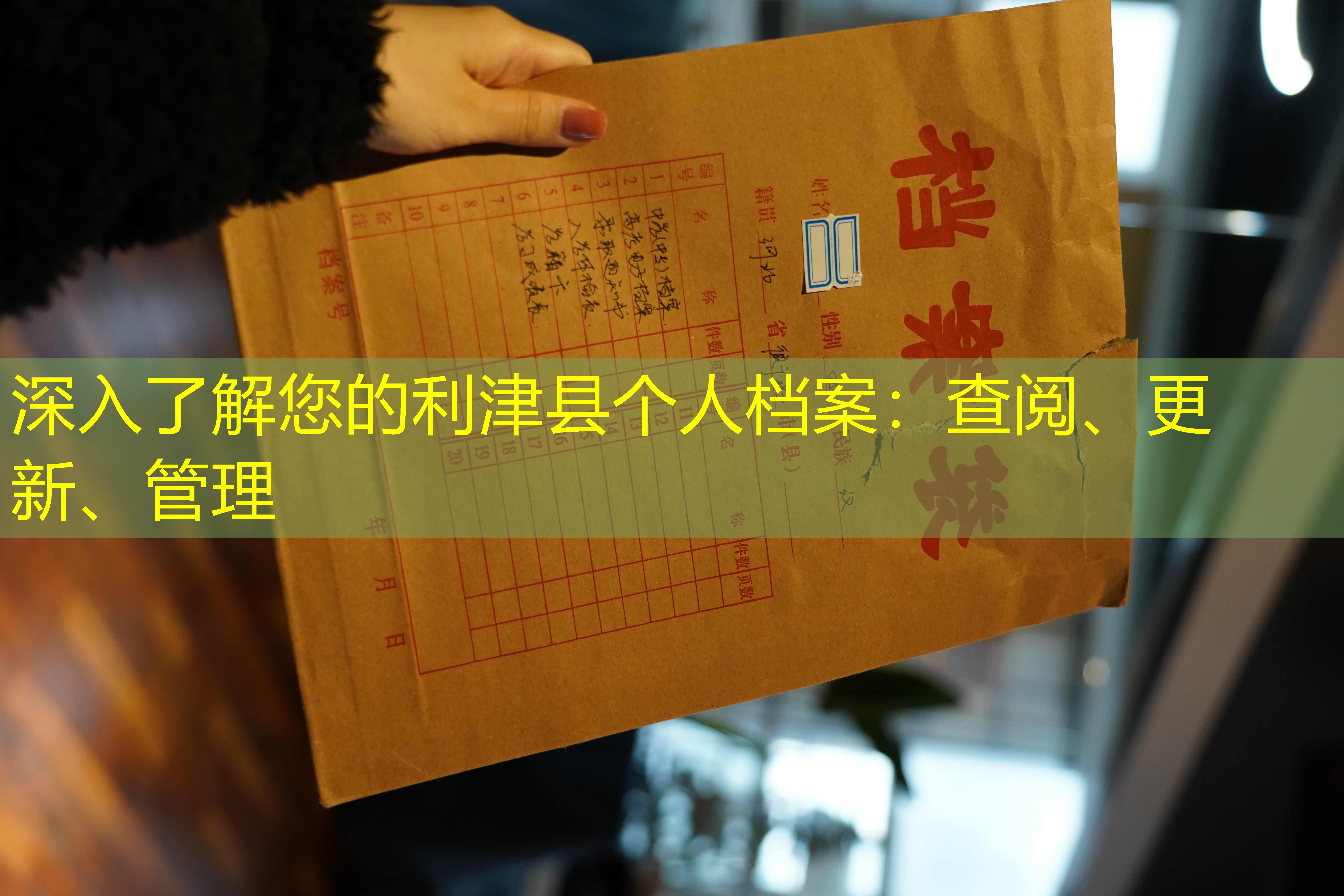 档案查询