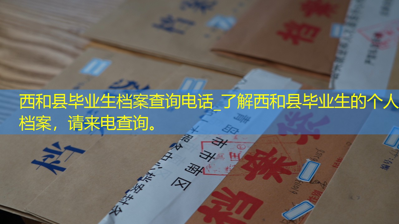 档案查询