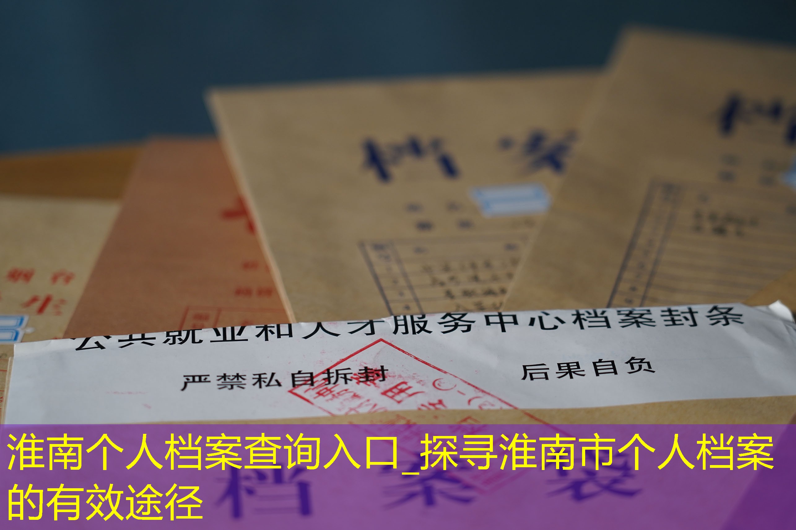 档案查询