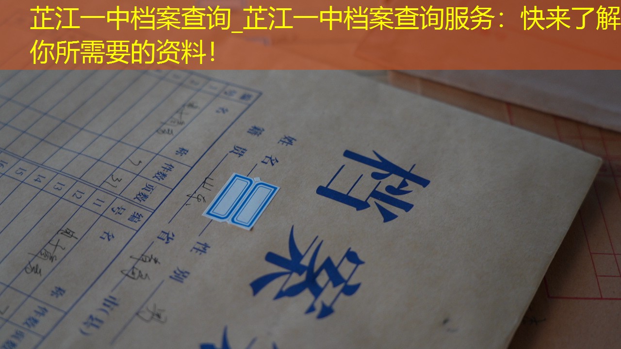 档案查询