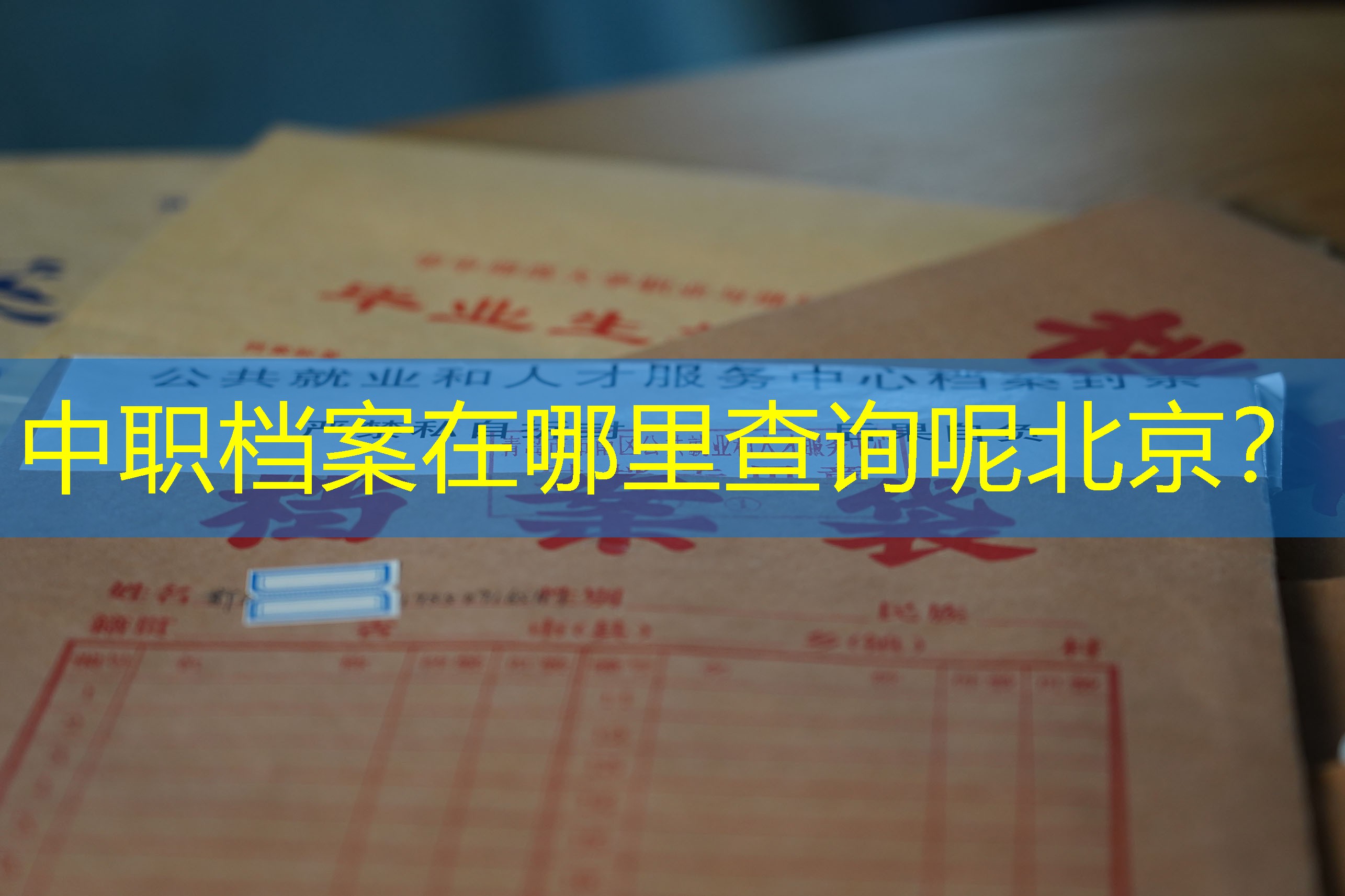 档案查询