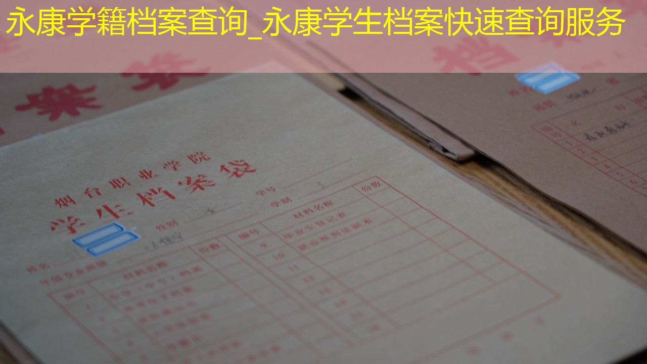 档案查询