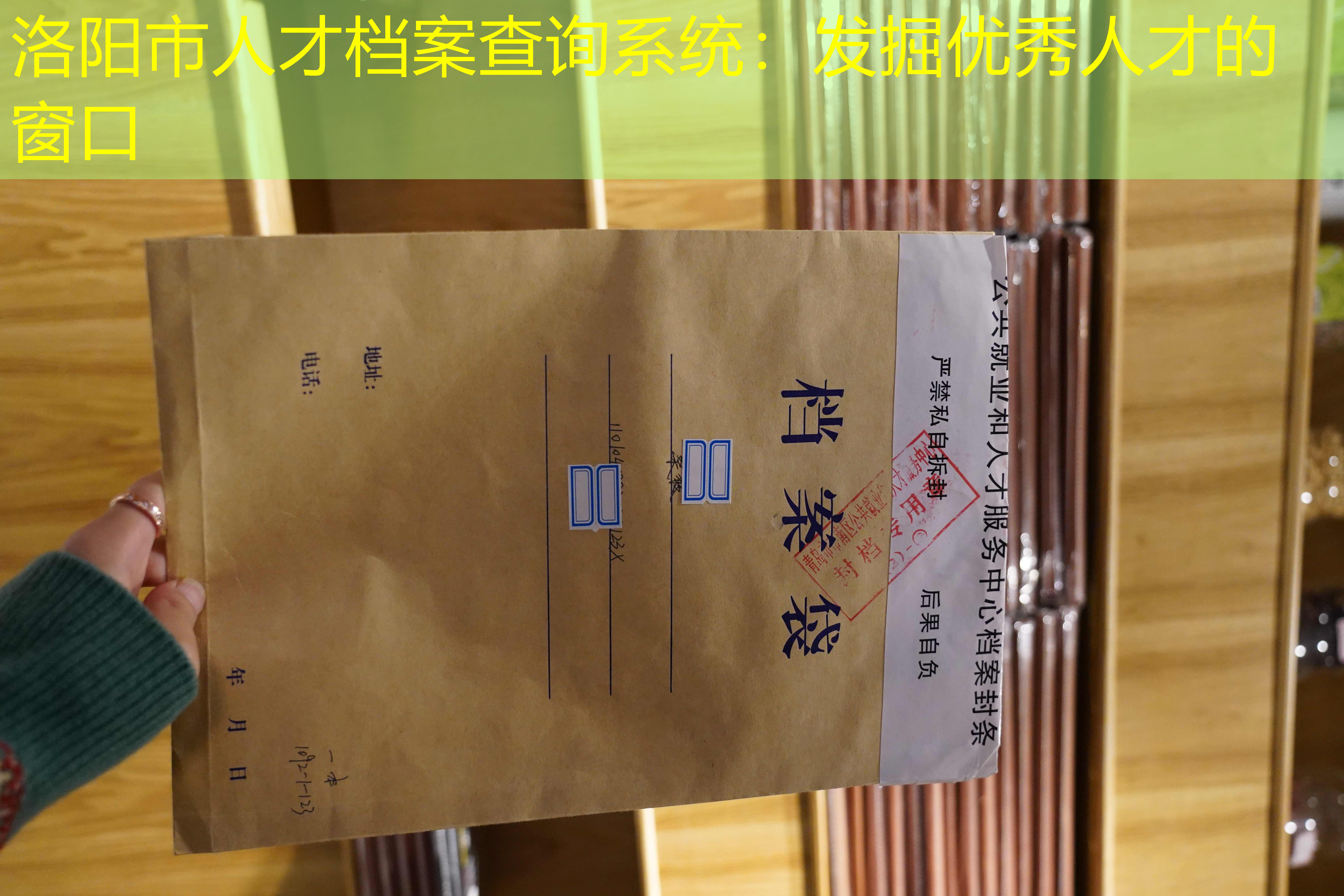 档案查询