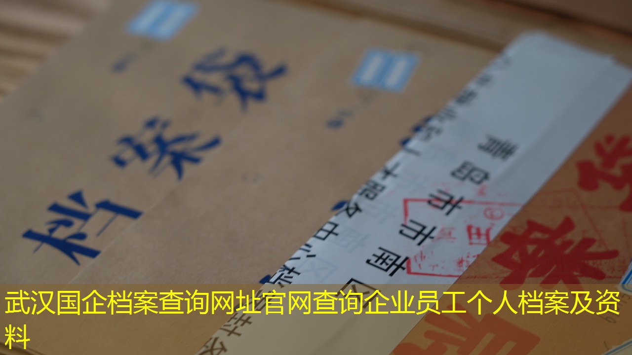 档案查询