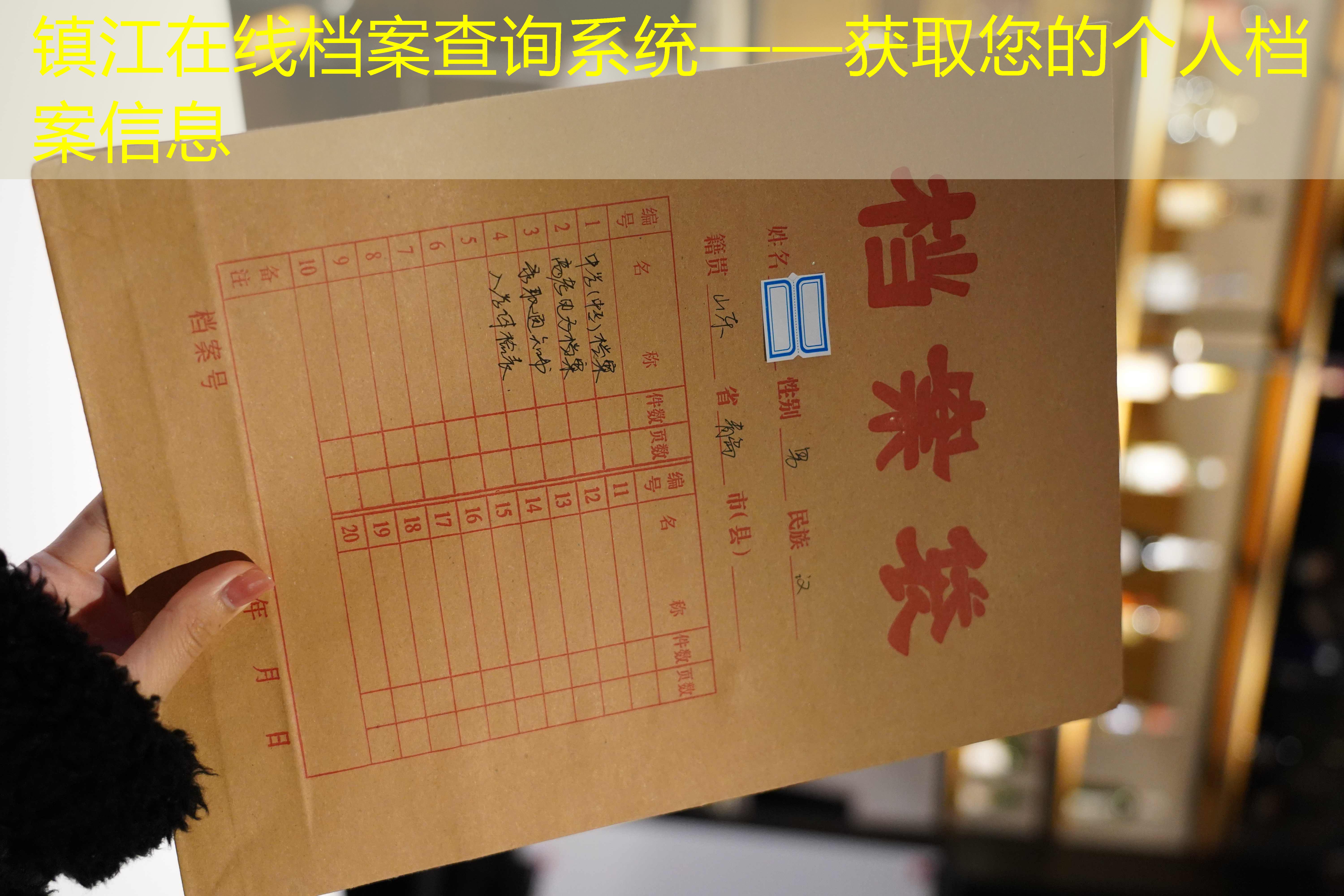 档案查询