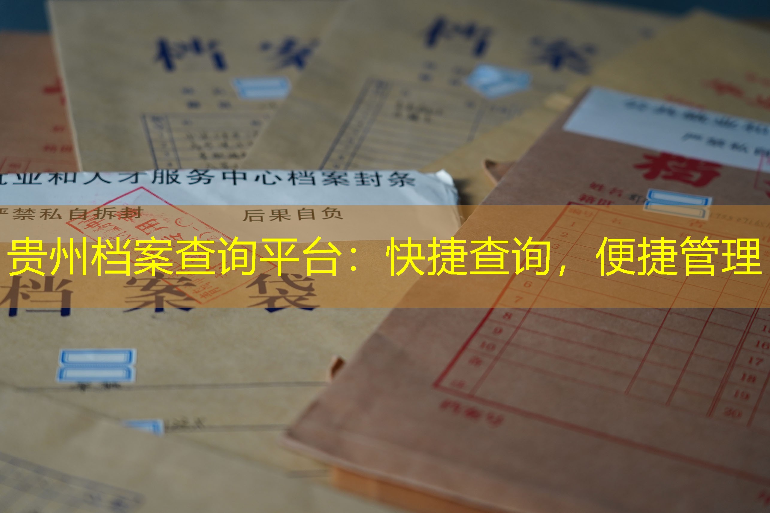 档案查询