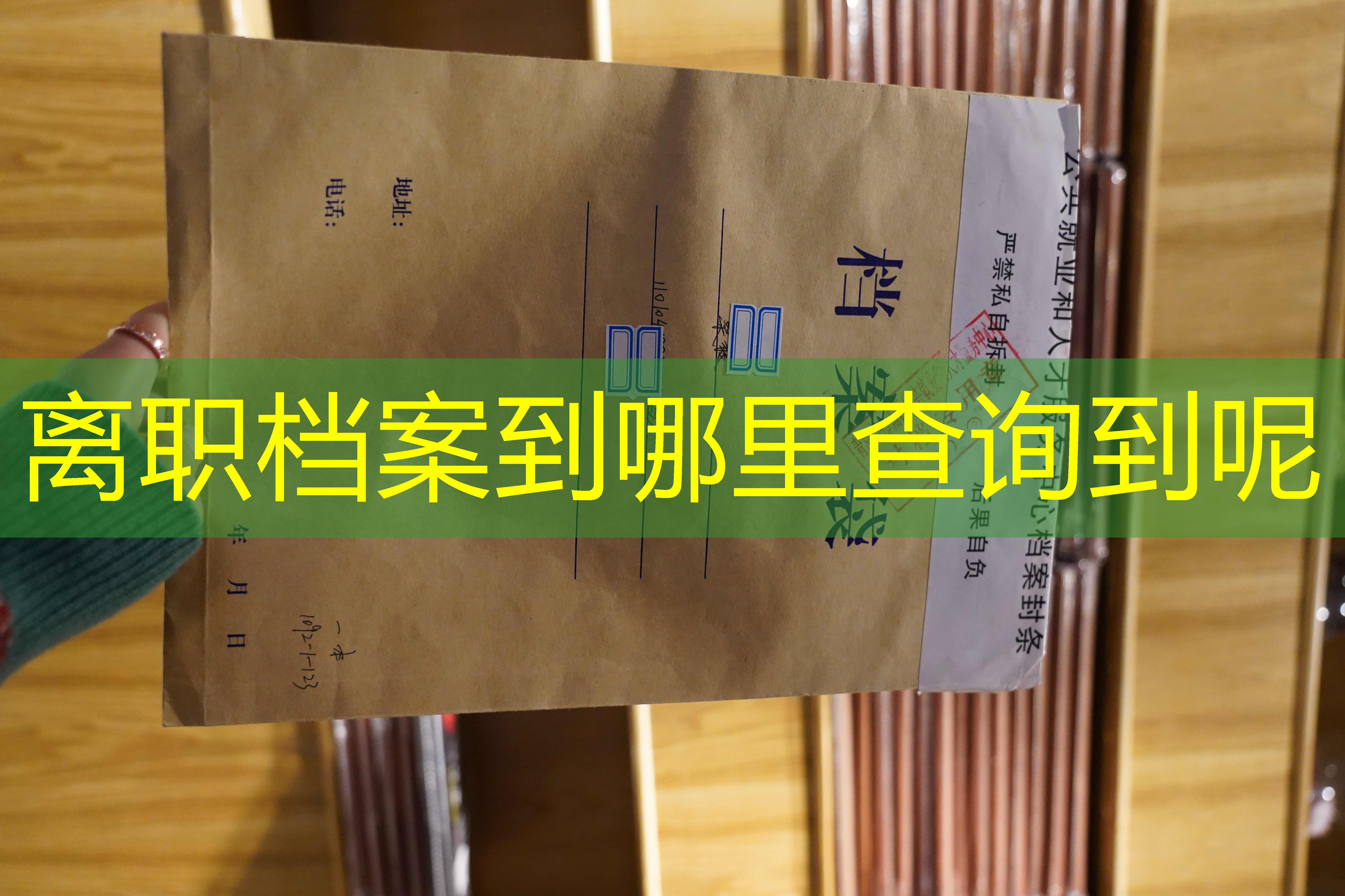 档案查询