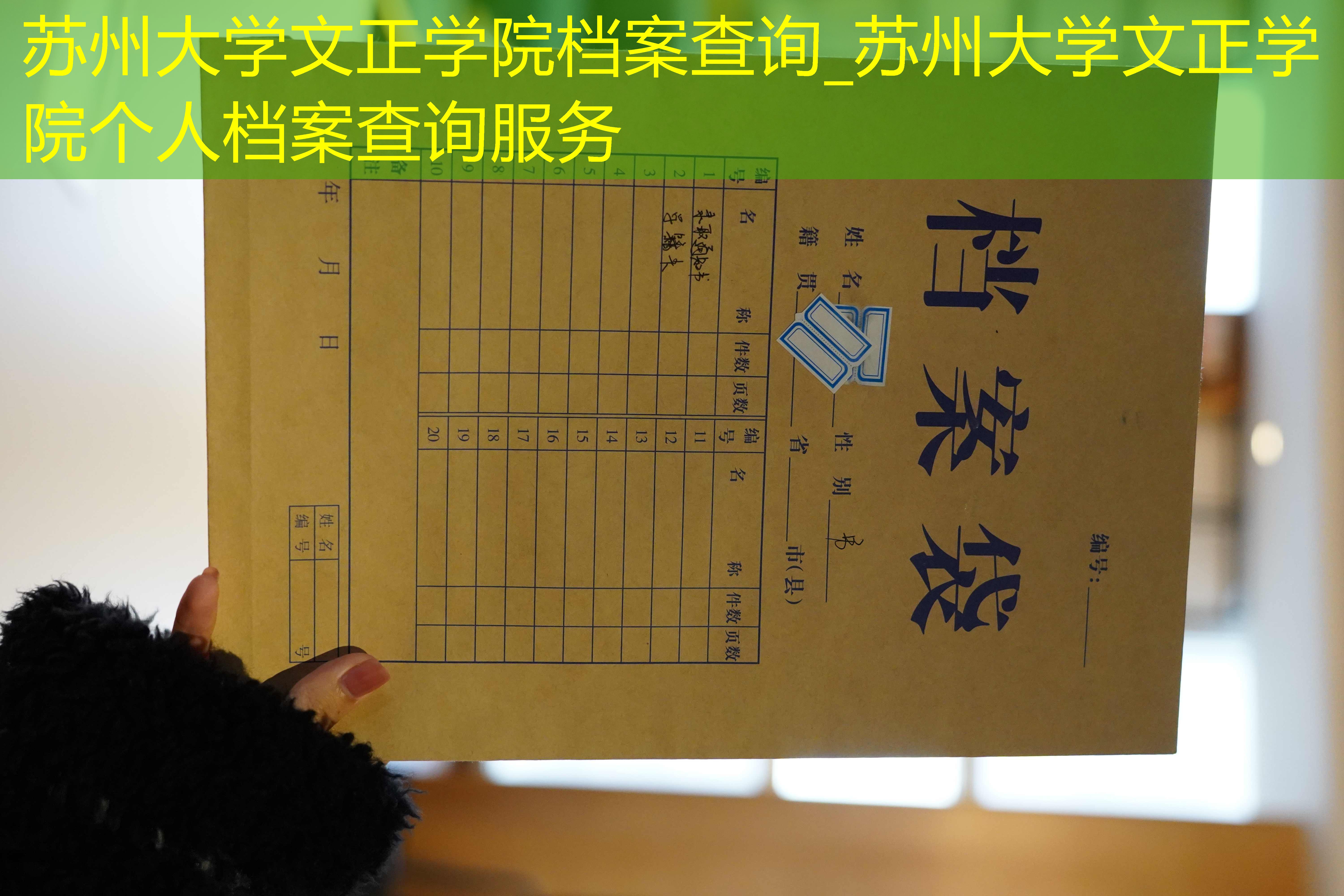 档案查询