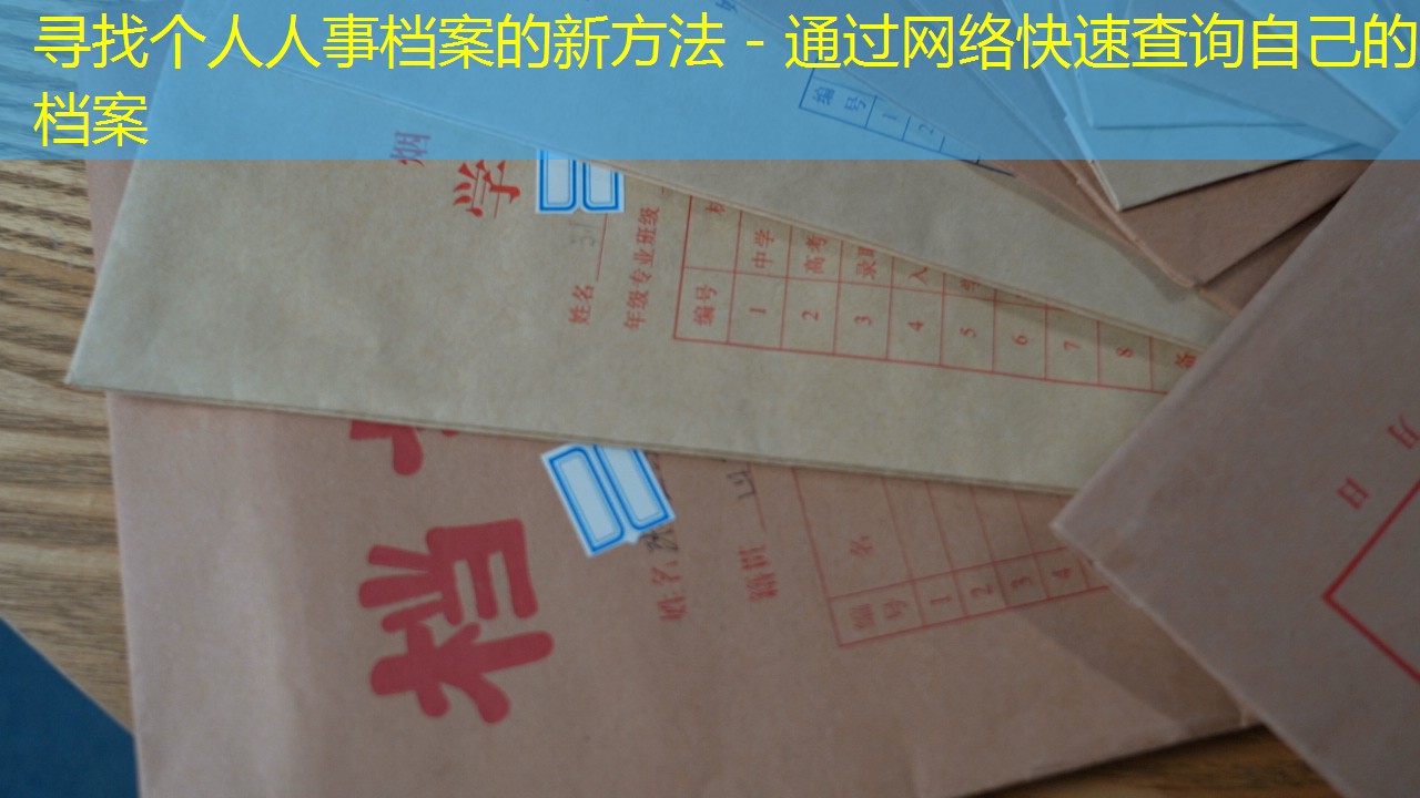 档案查询