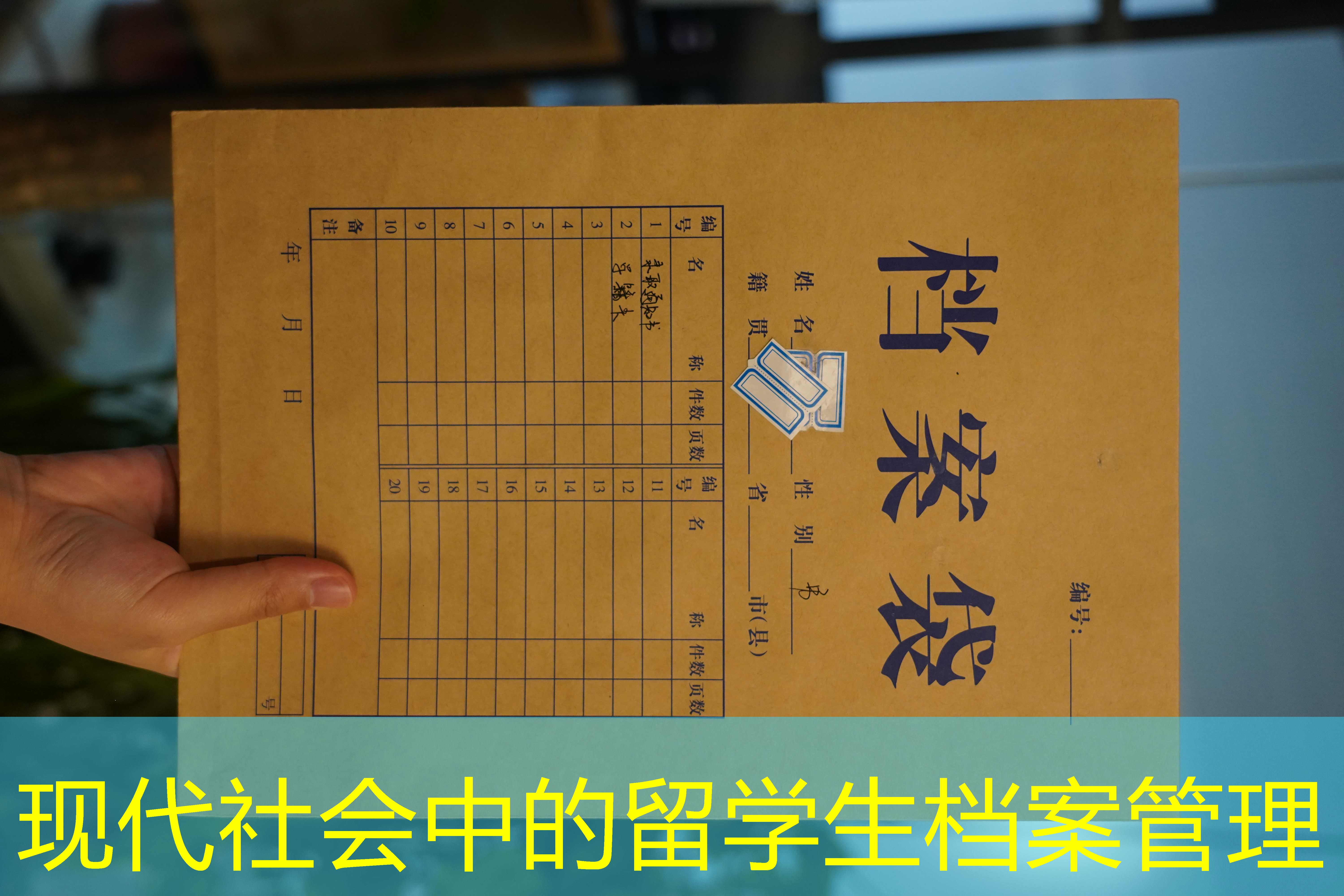 档案查询