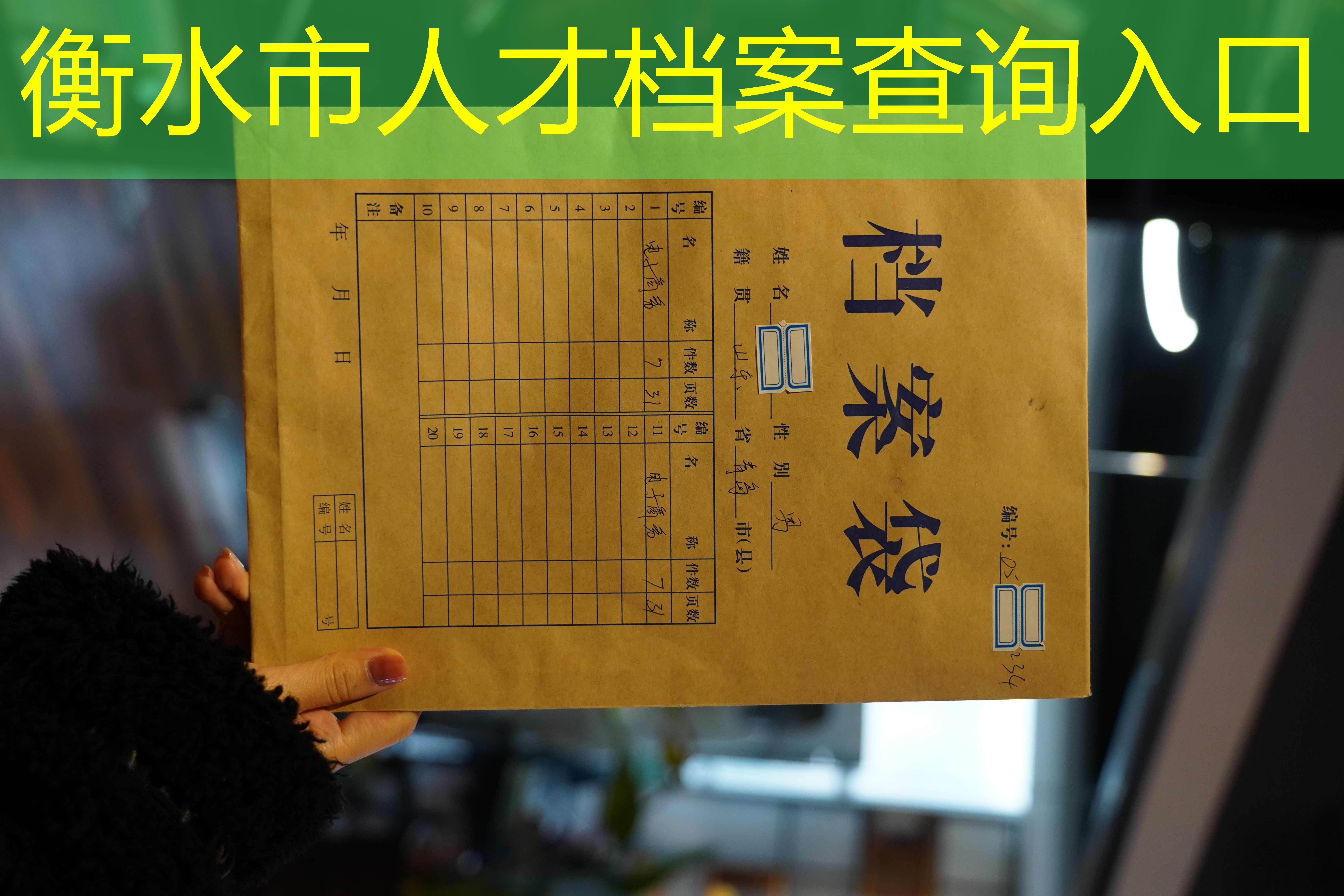档案查询