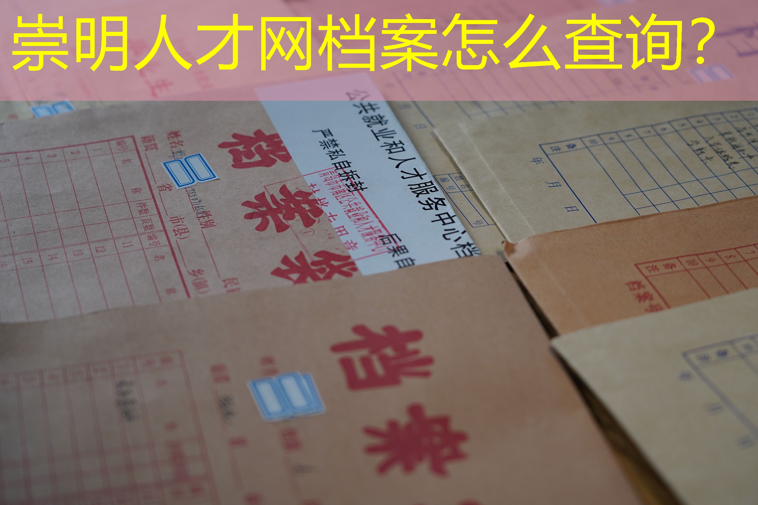 档案查询