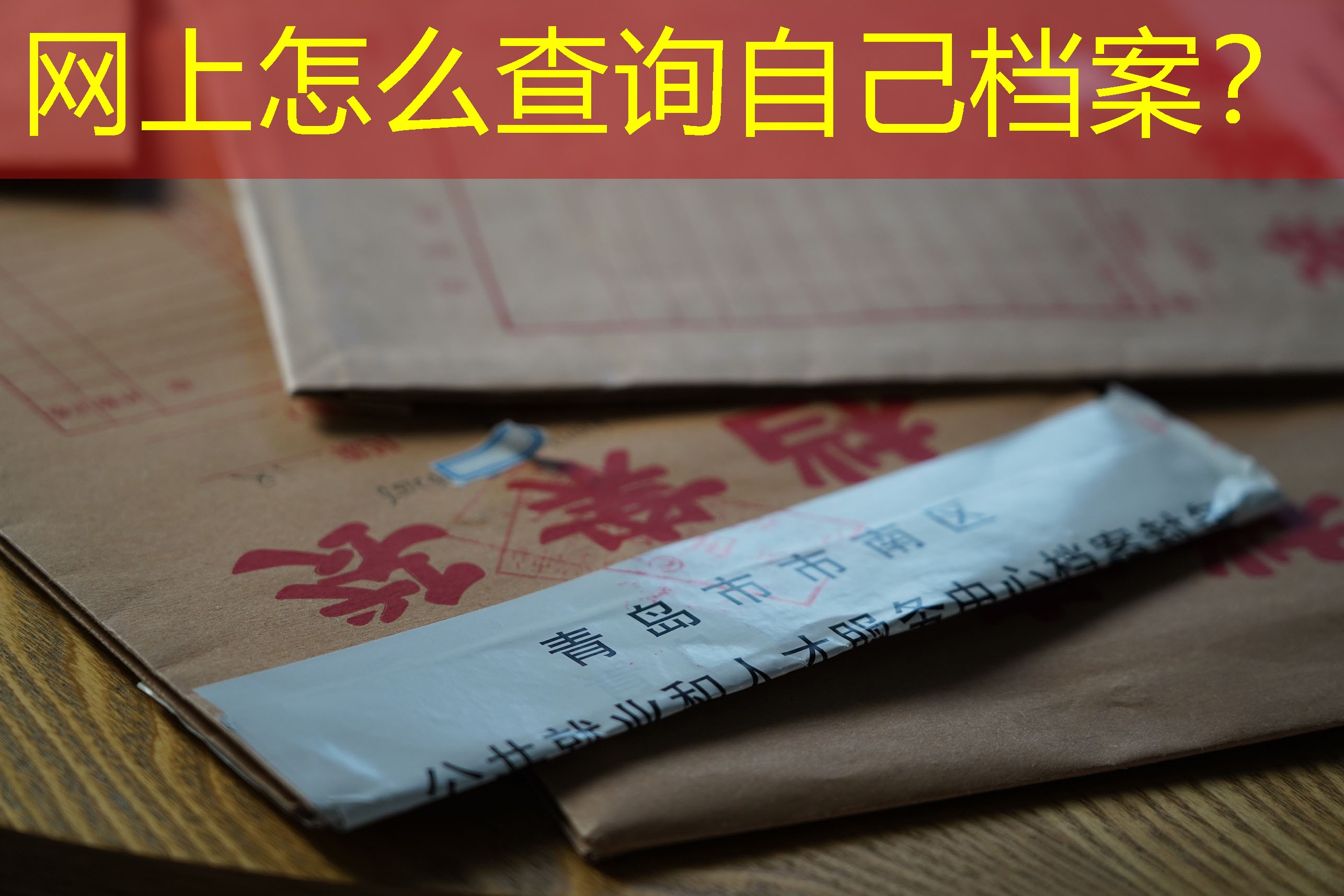 档案查询