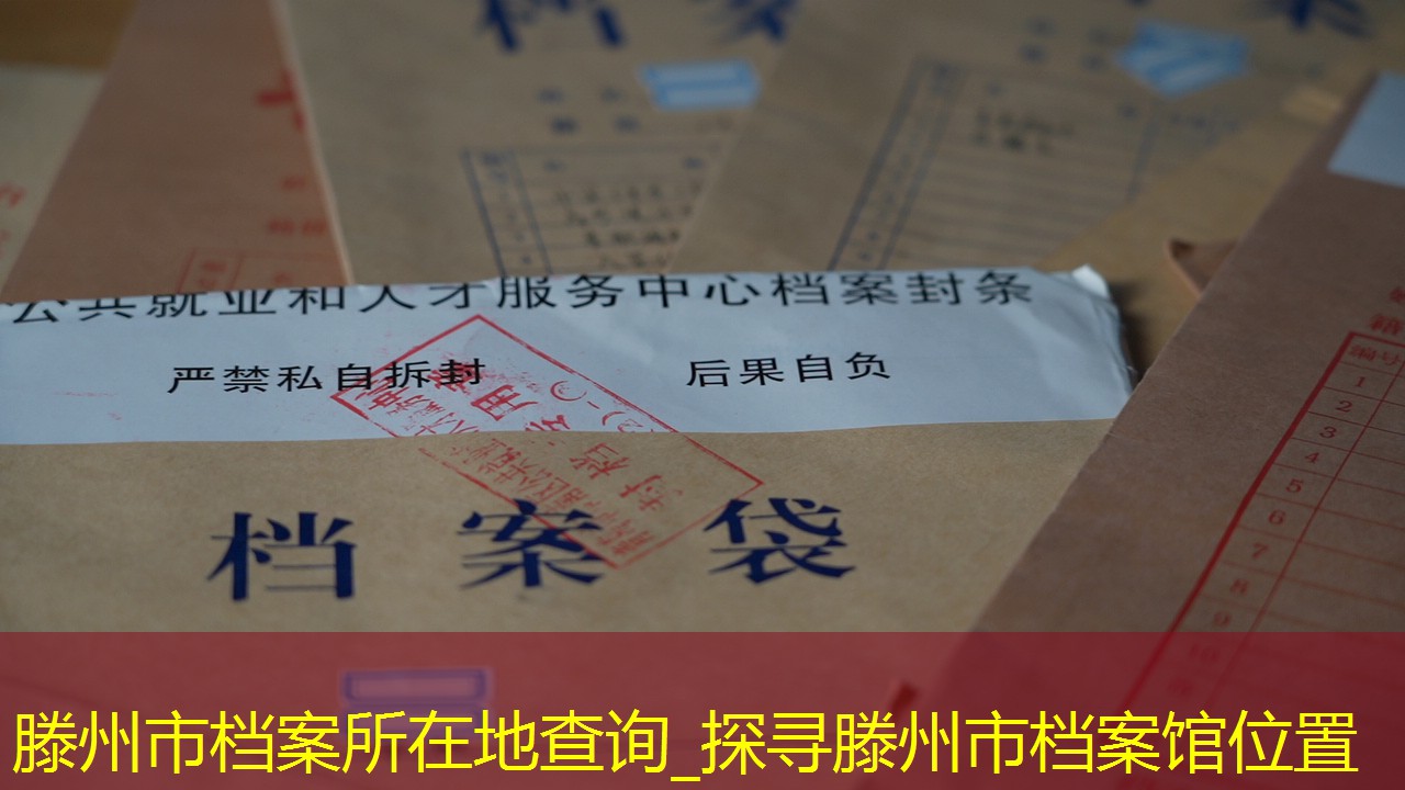 档案查询