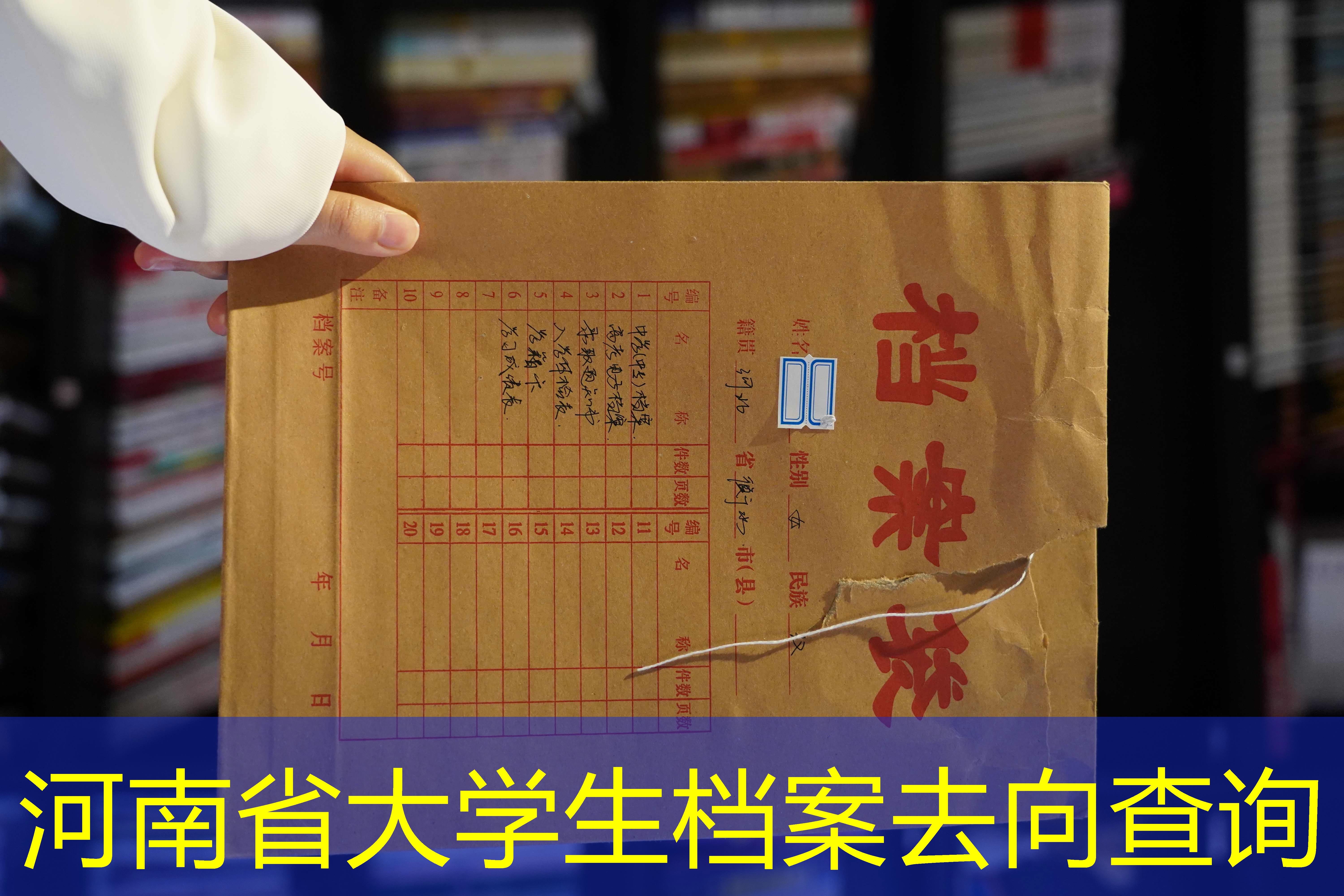档案查询