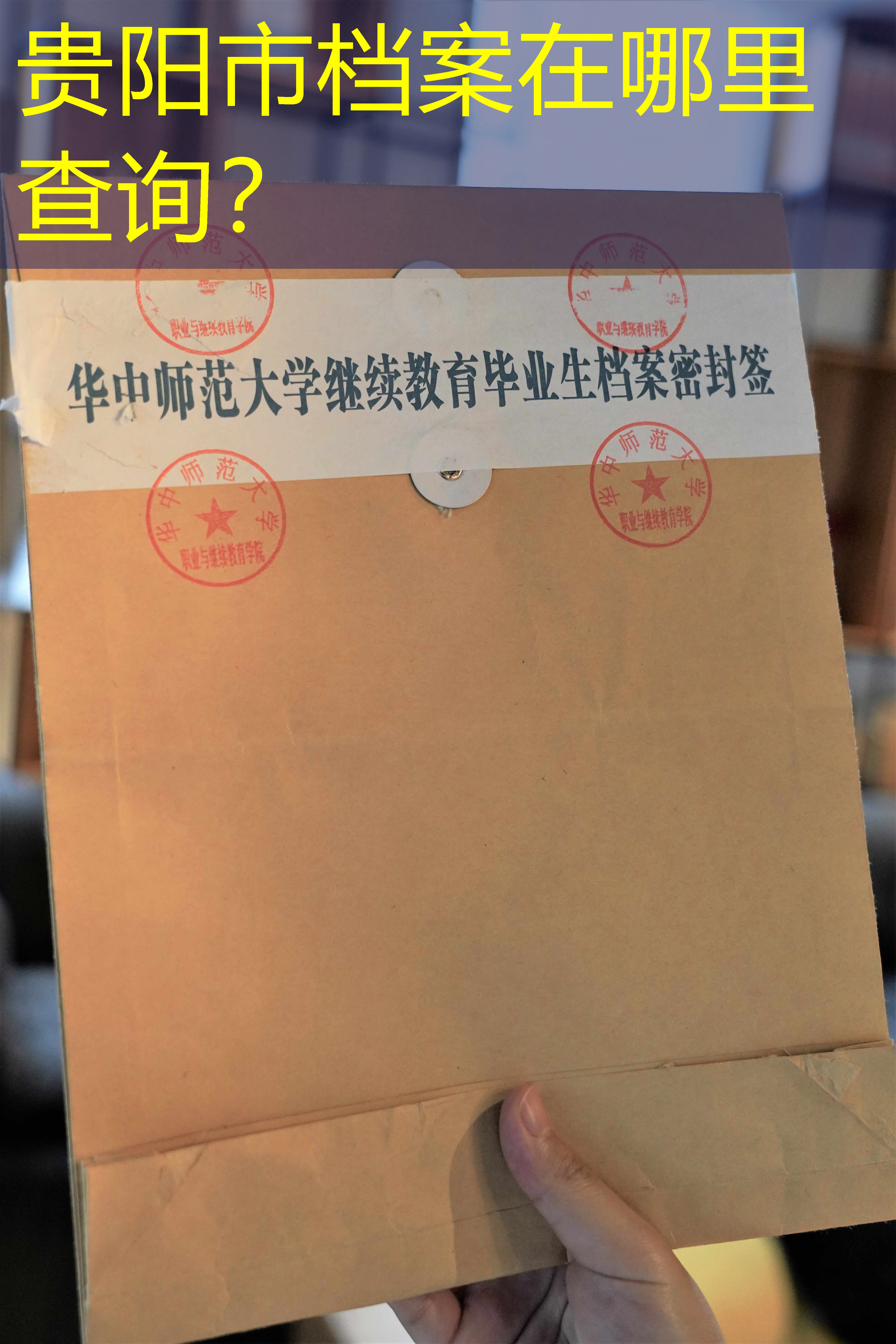 档案查询