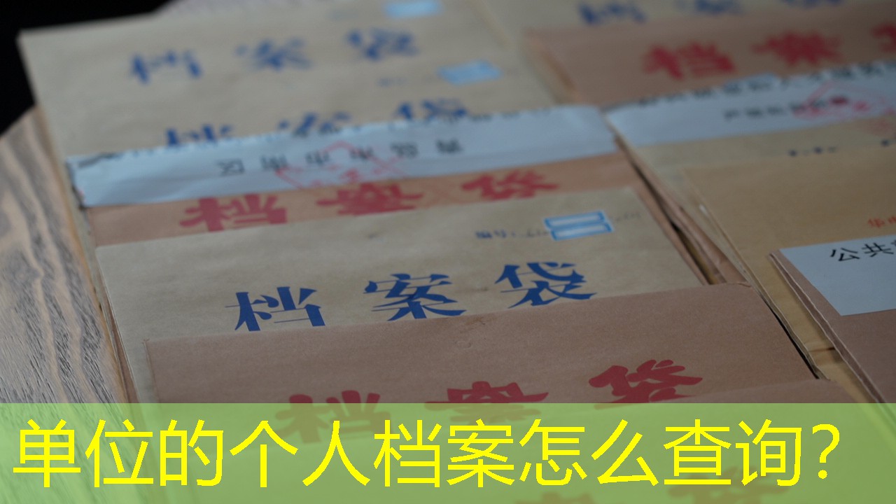 档案查询