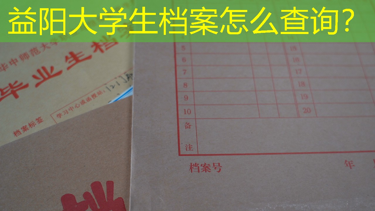 档案查询